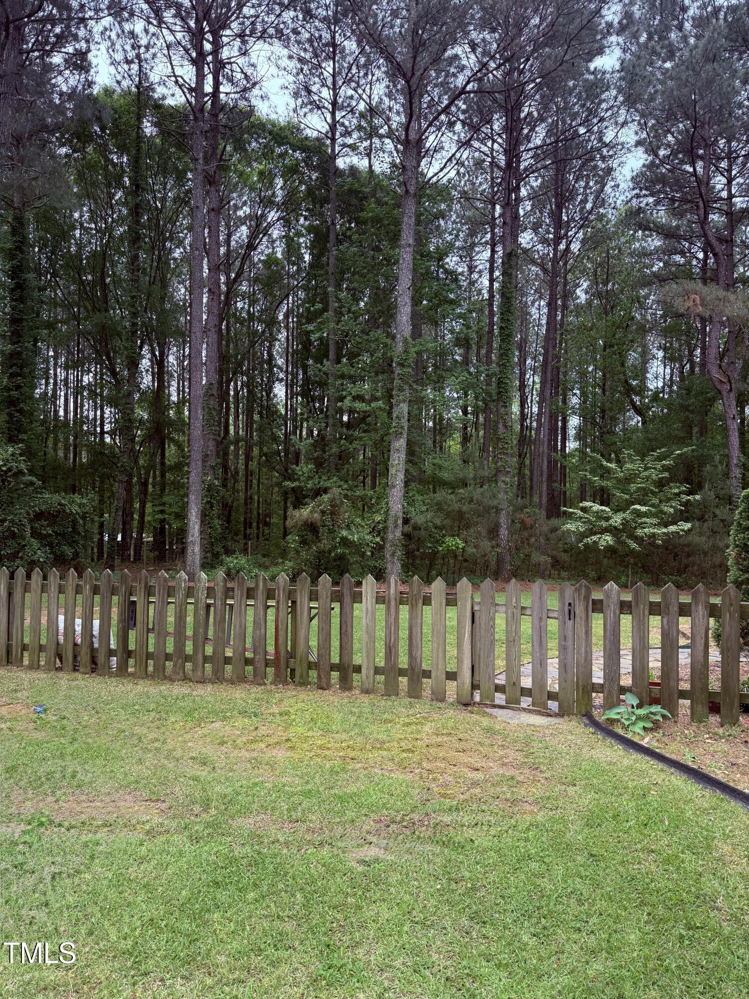 Photo #61