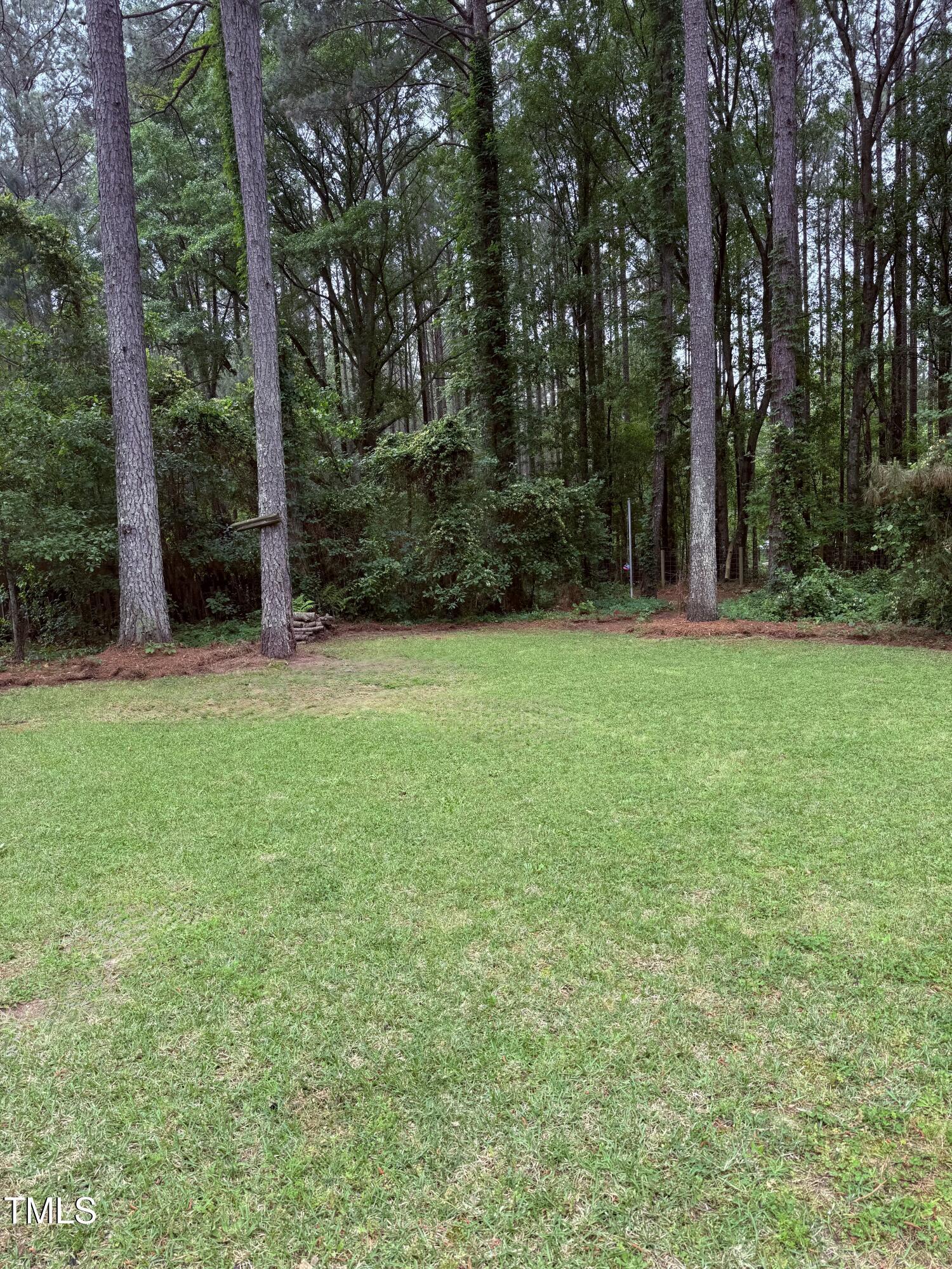 Photo #58