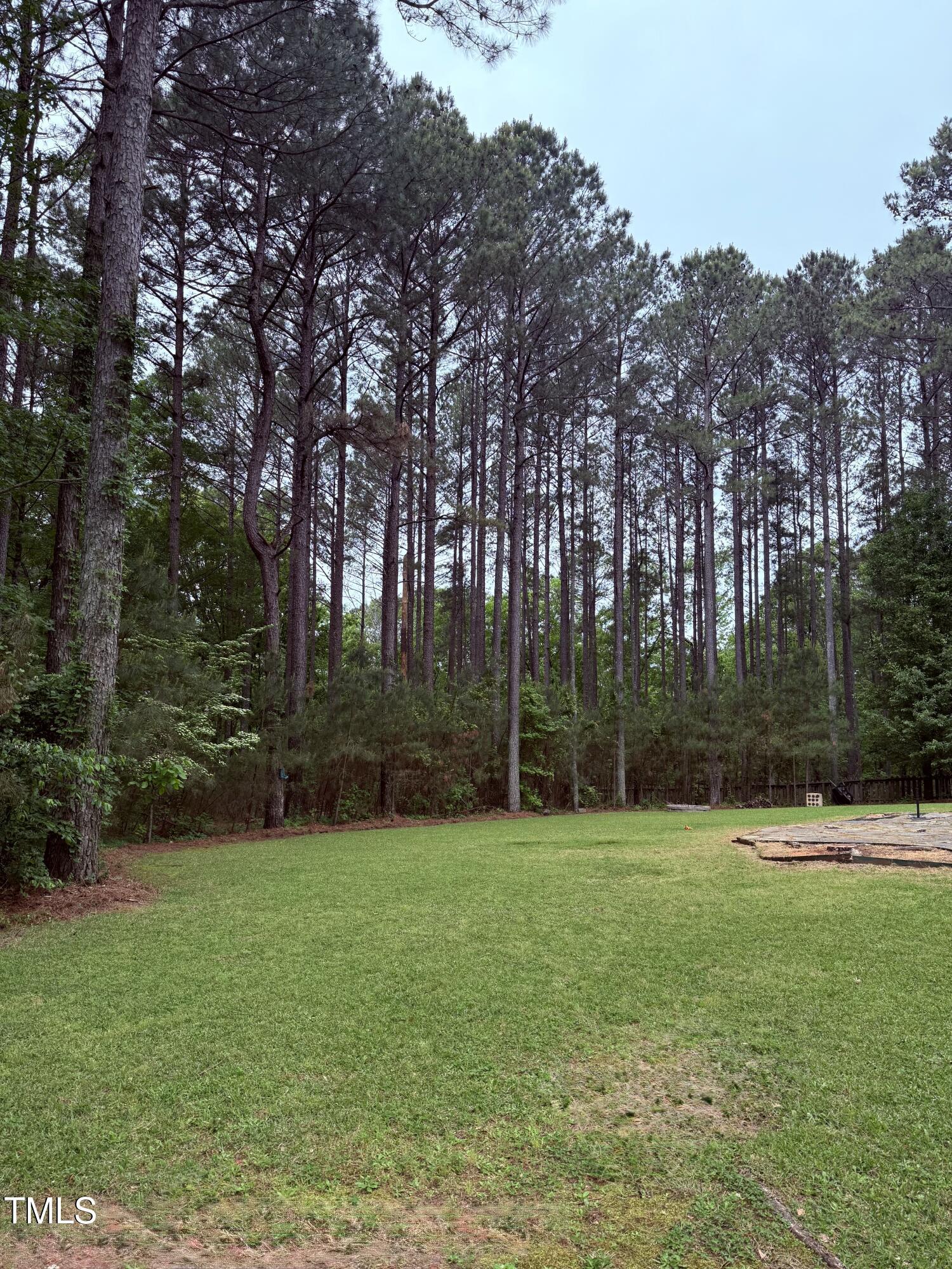 Photo #62
