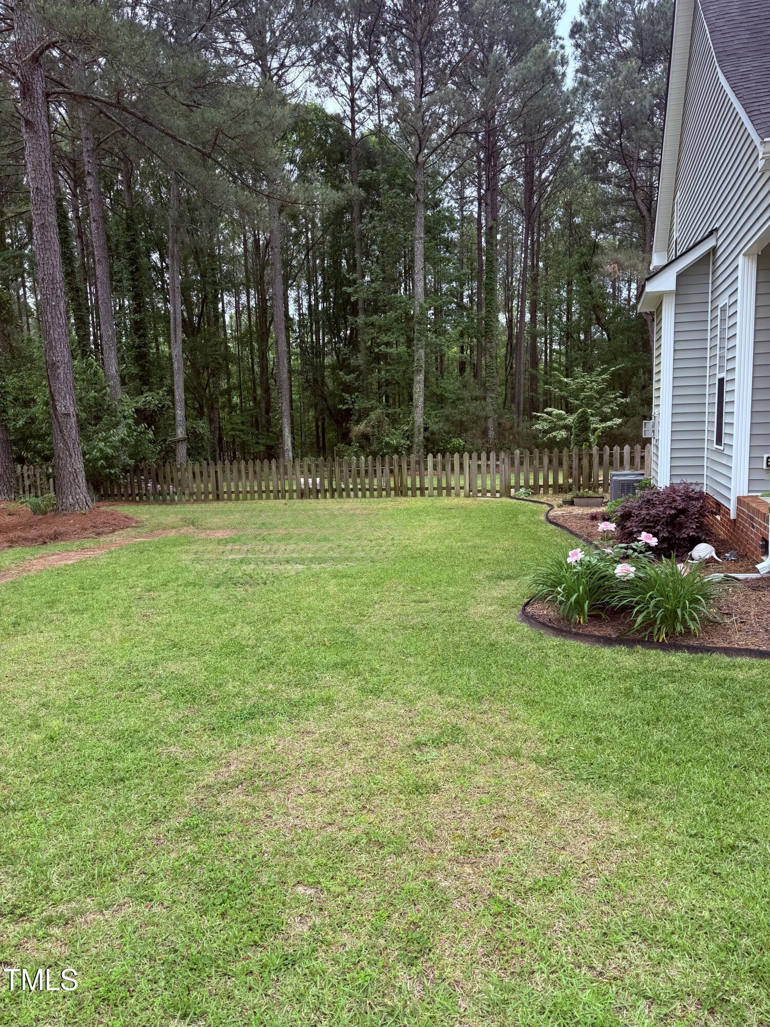 Photo #65