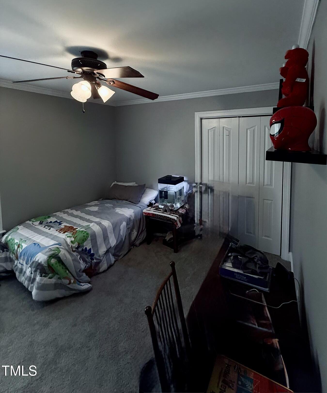 Photo #38