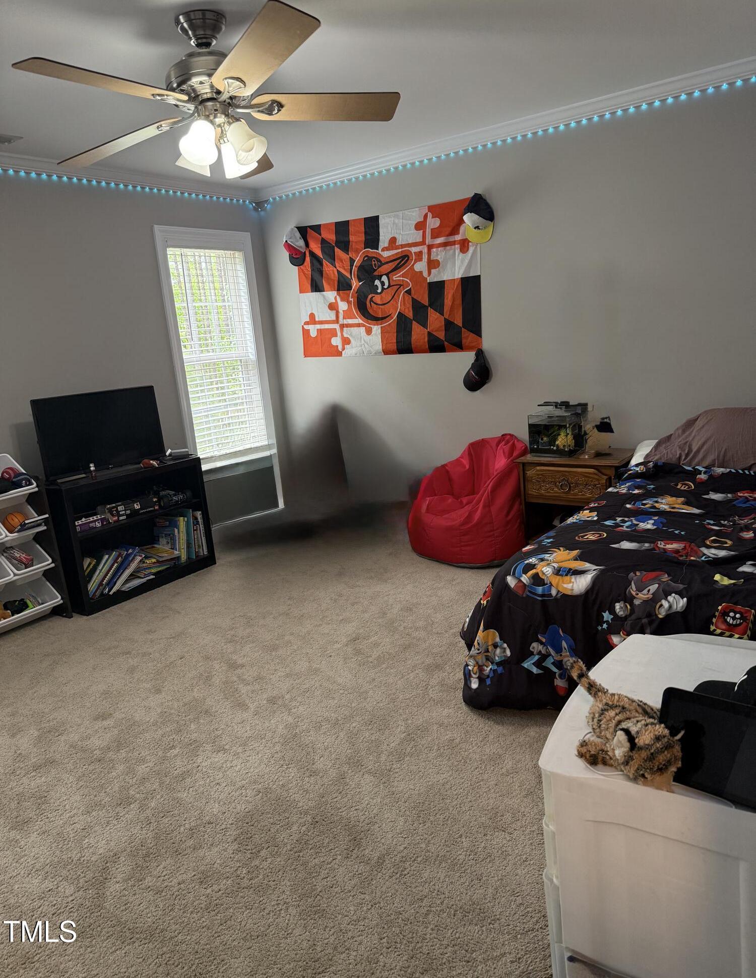 Photo #34