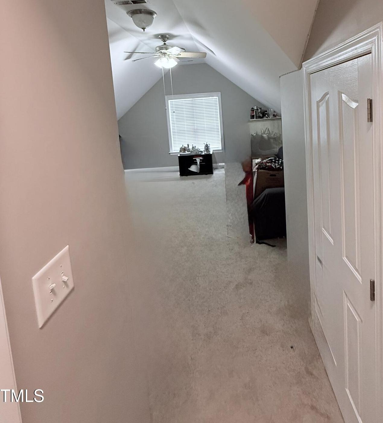 Photo #42