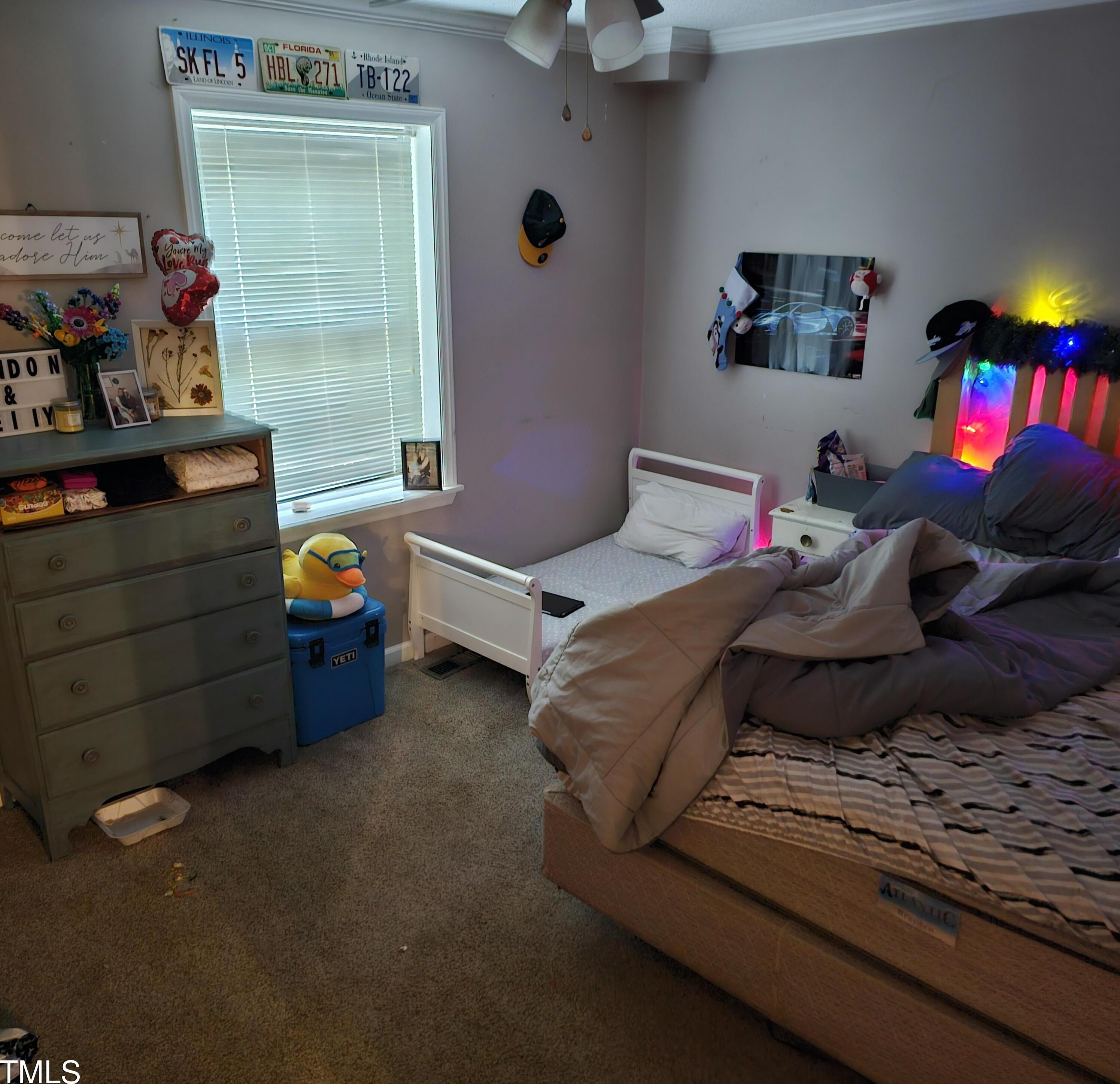 Photo #12