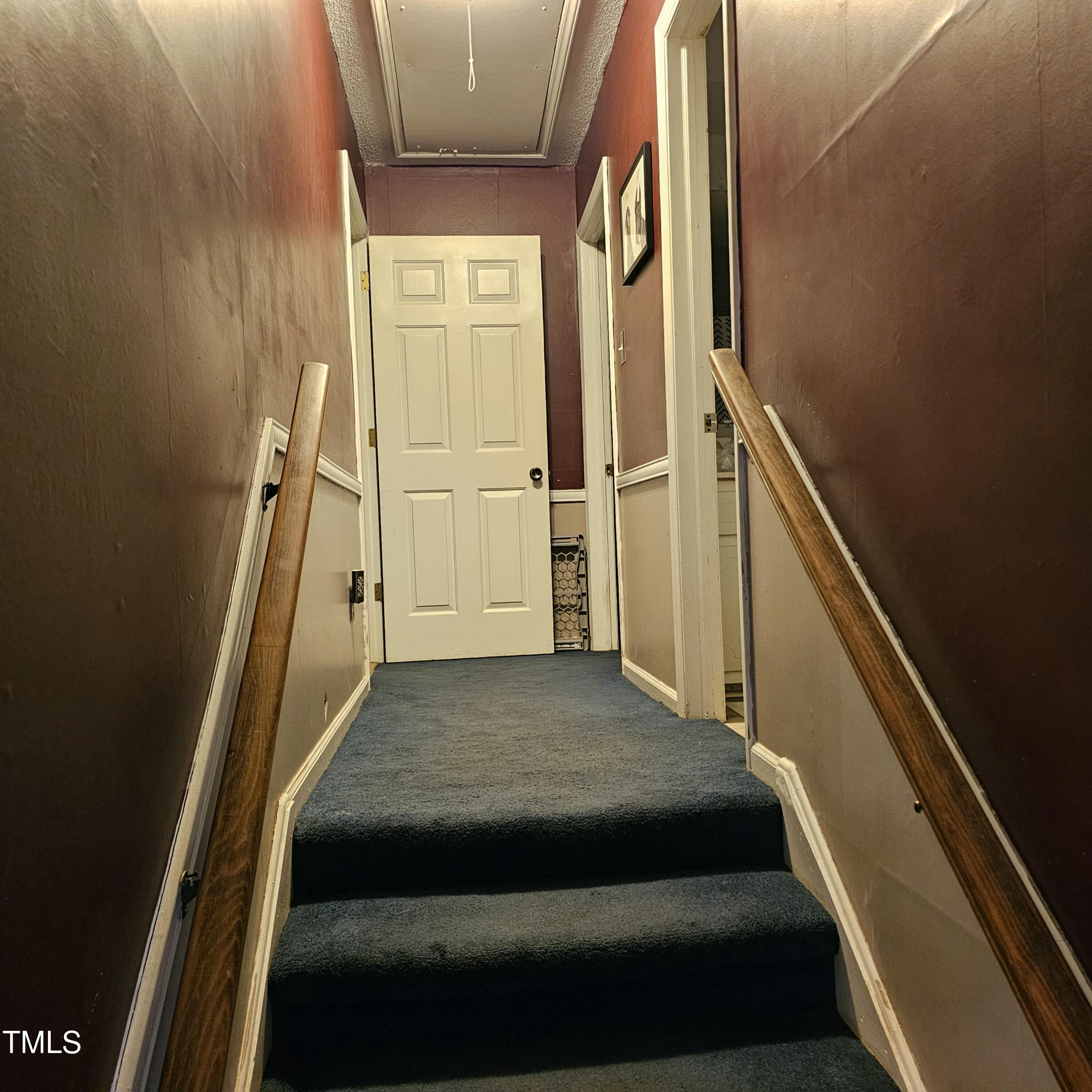 Photo #19