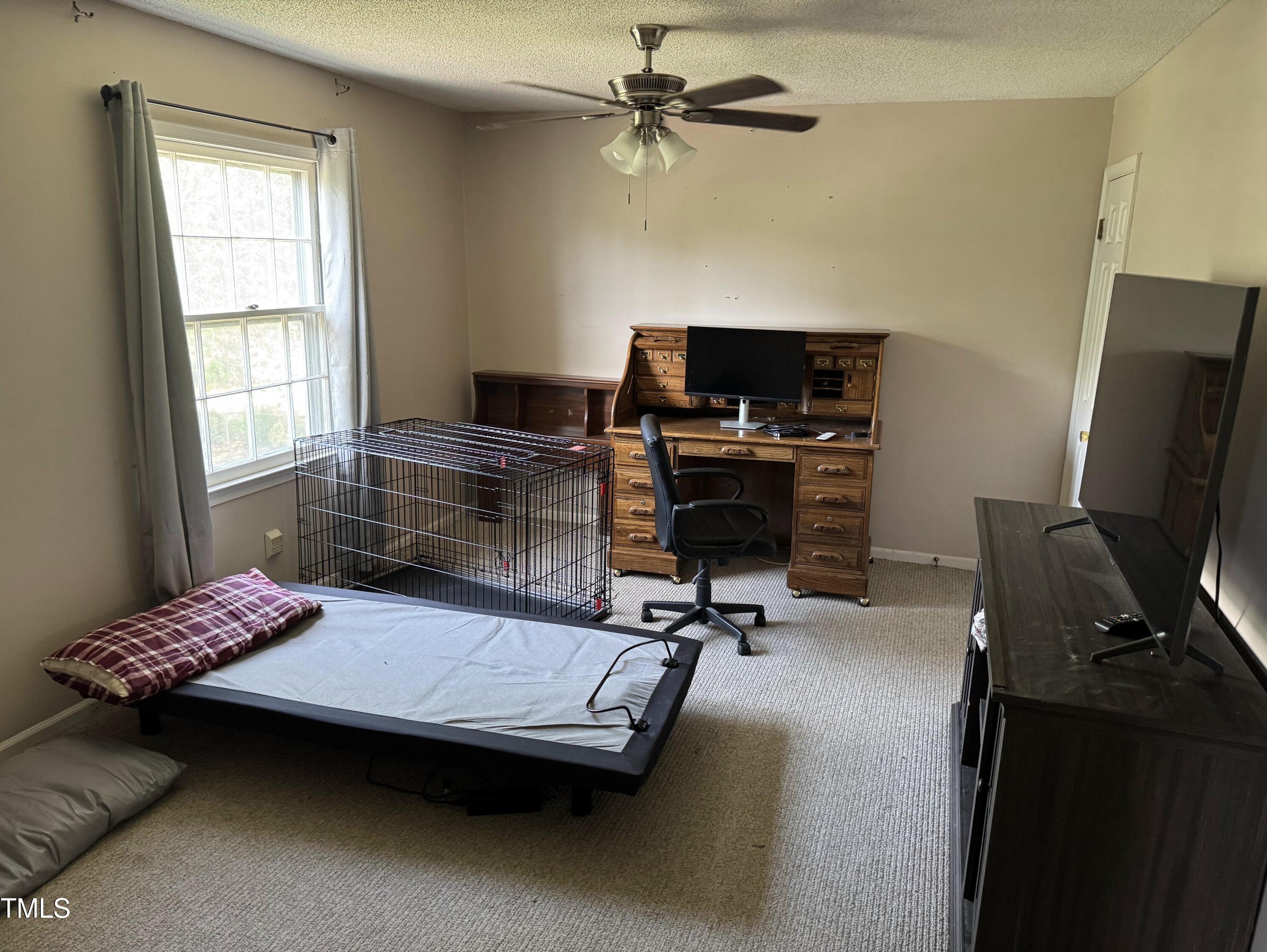 Photo #21