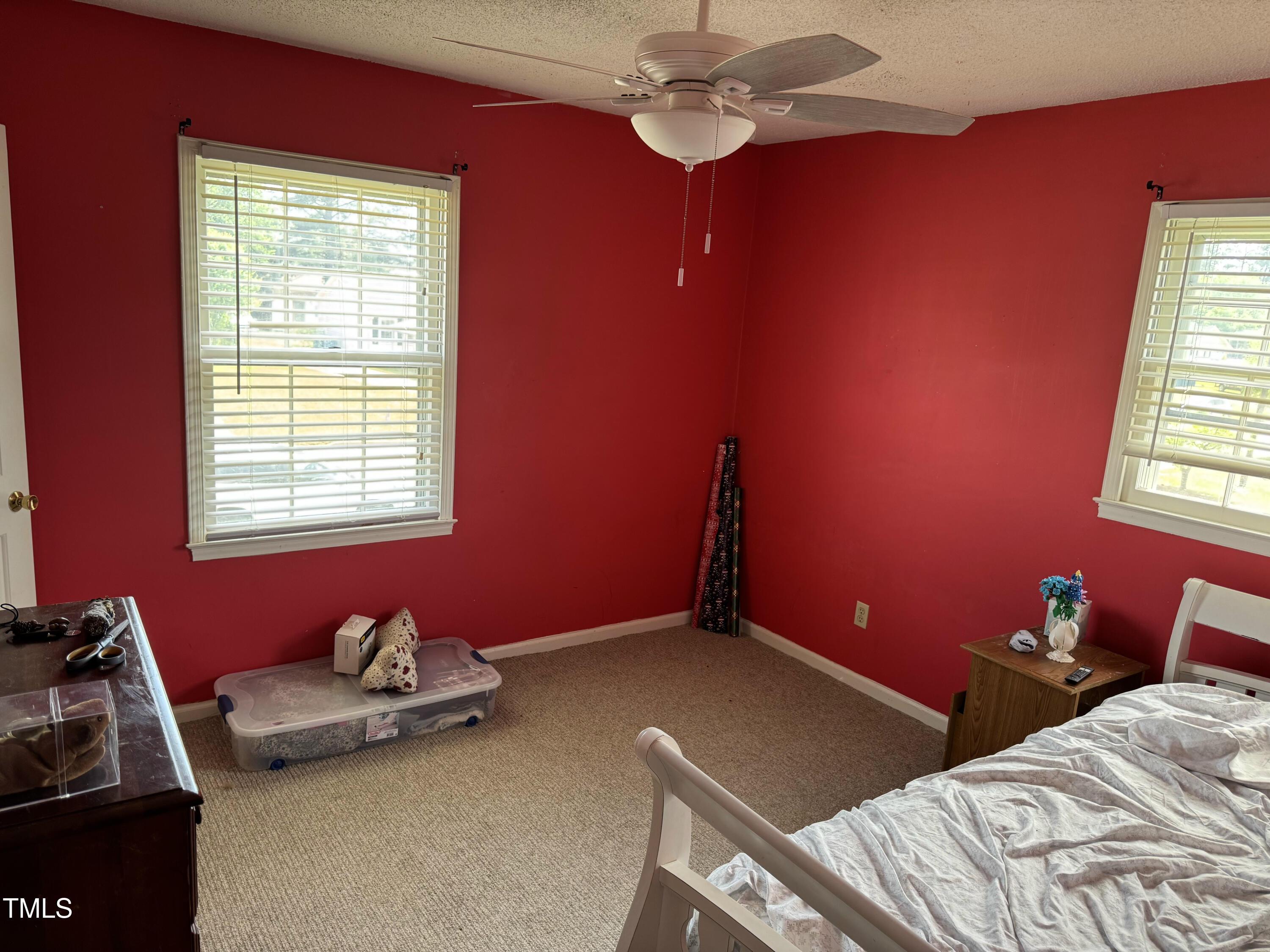 Photo #24