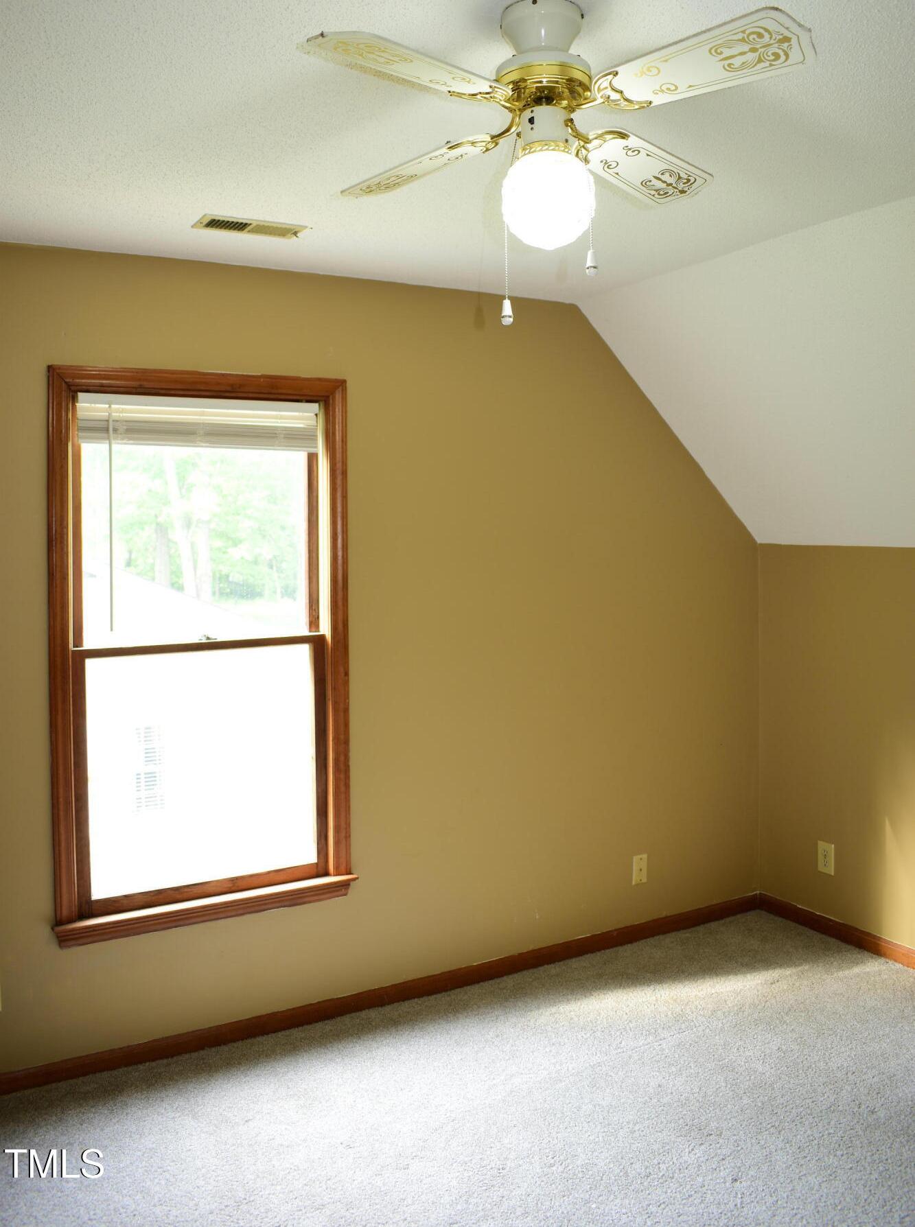 Photo #29