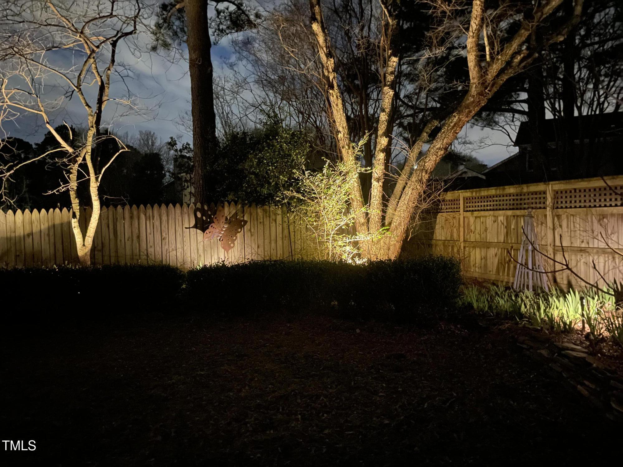 Photo #48