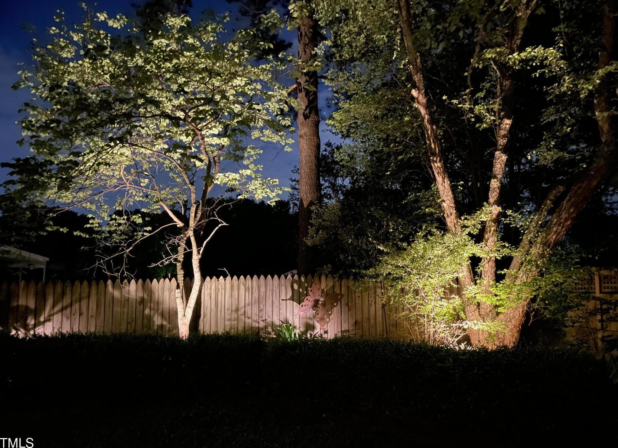 Photo #46