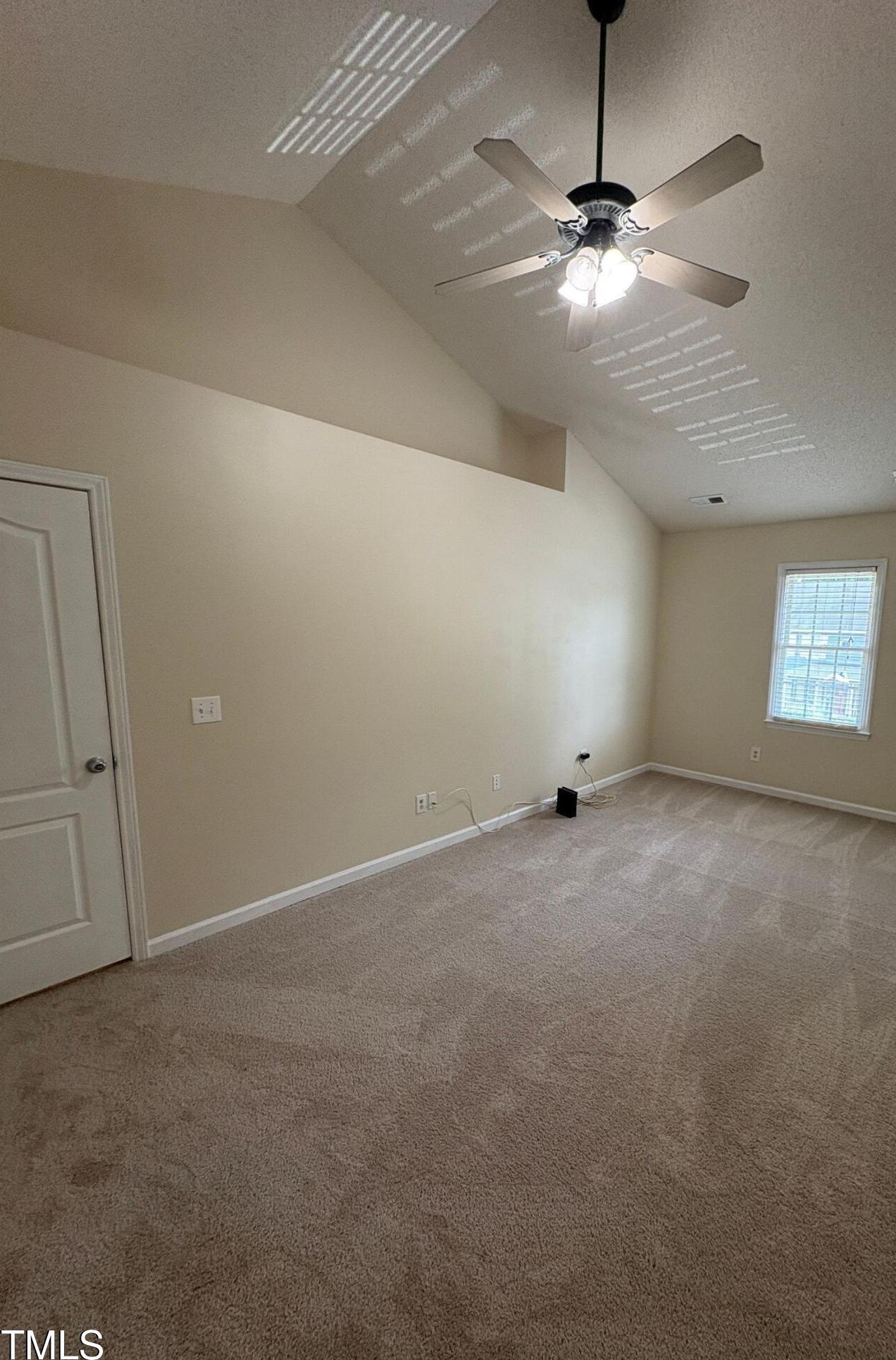 Photo #42