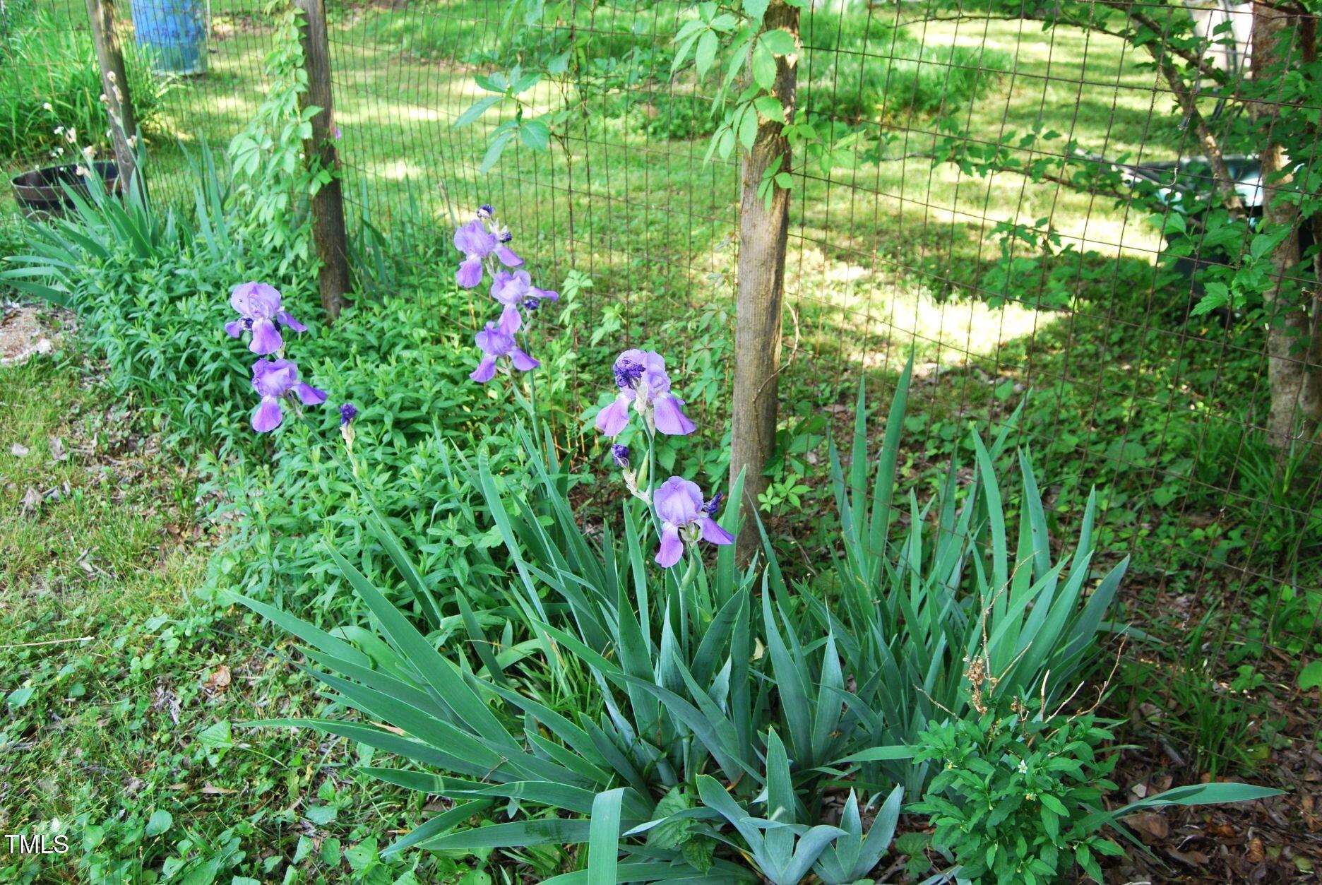 Photo #26