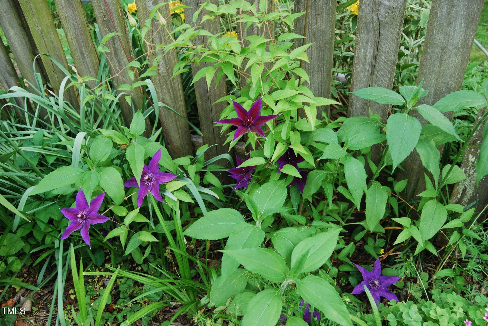 Photo #28