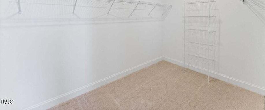 Photo #13