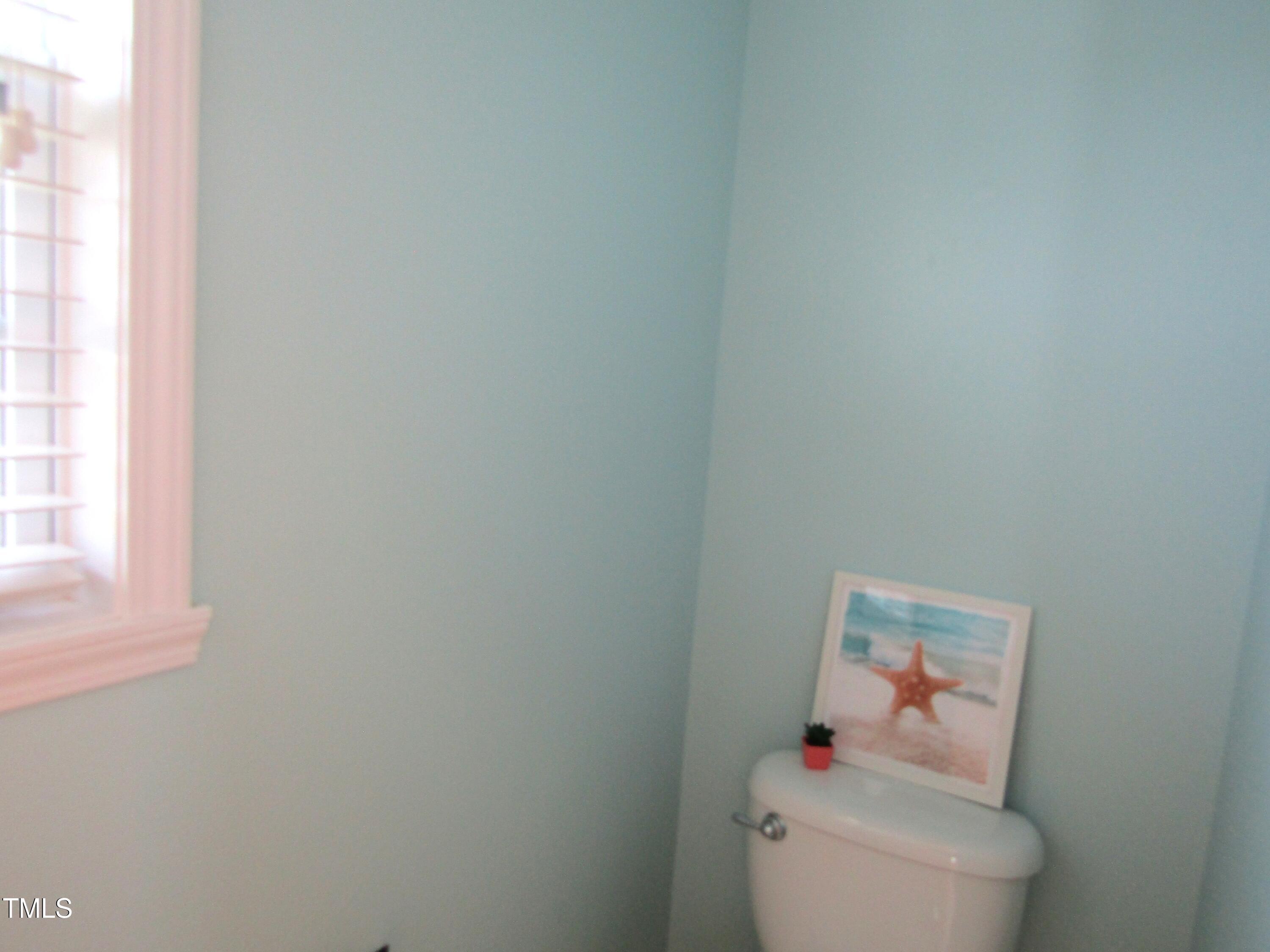 Photo #31