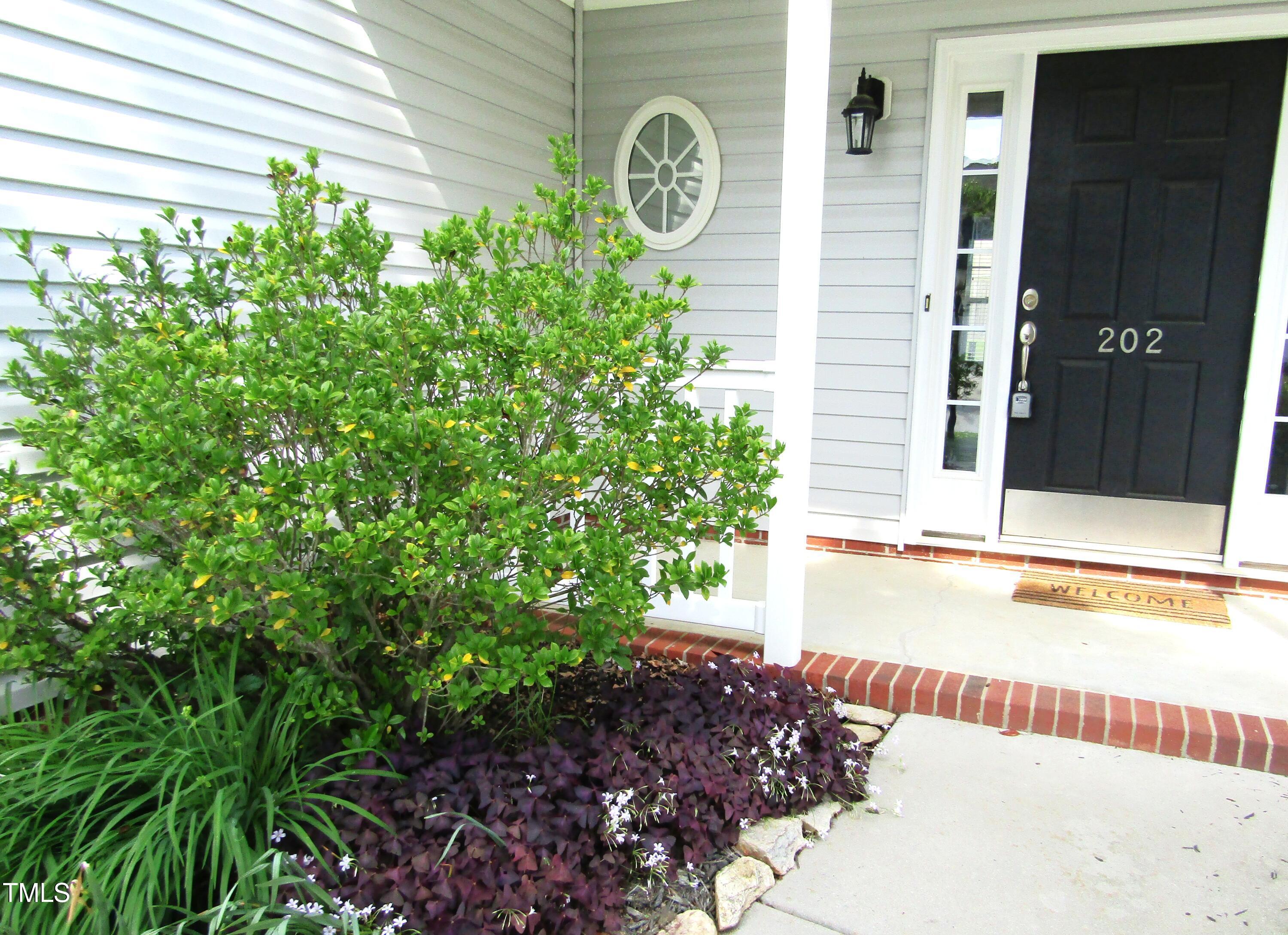 Photo #38