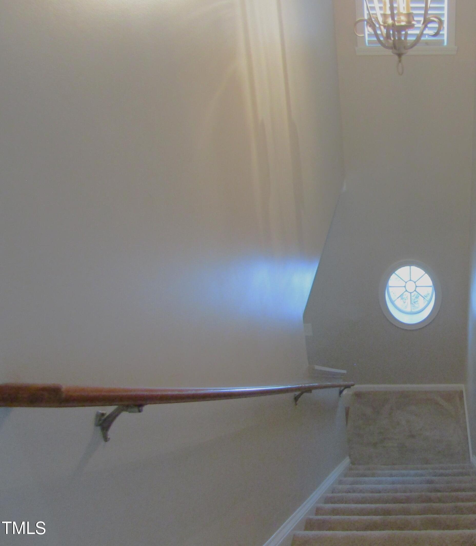 Photo #15