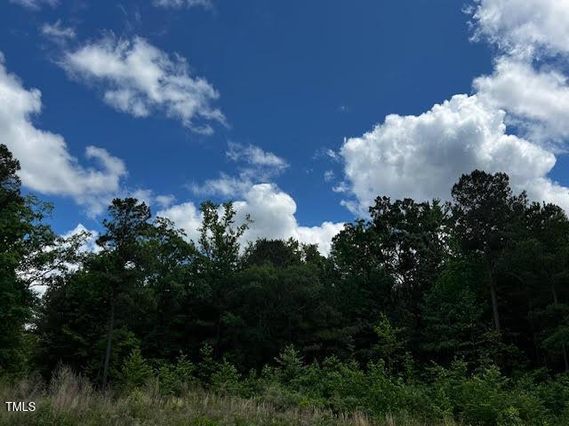 Photo #15