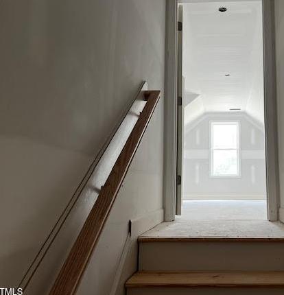 Photo #24