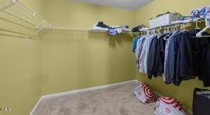Photo #16