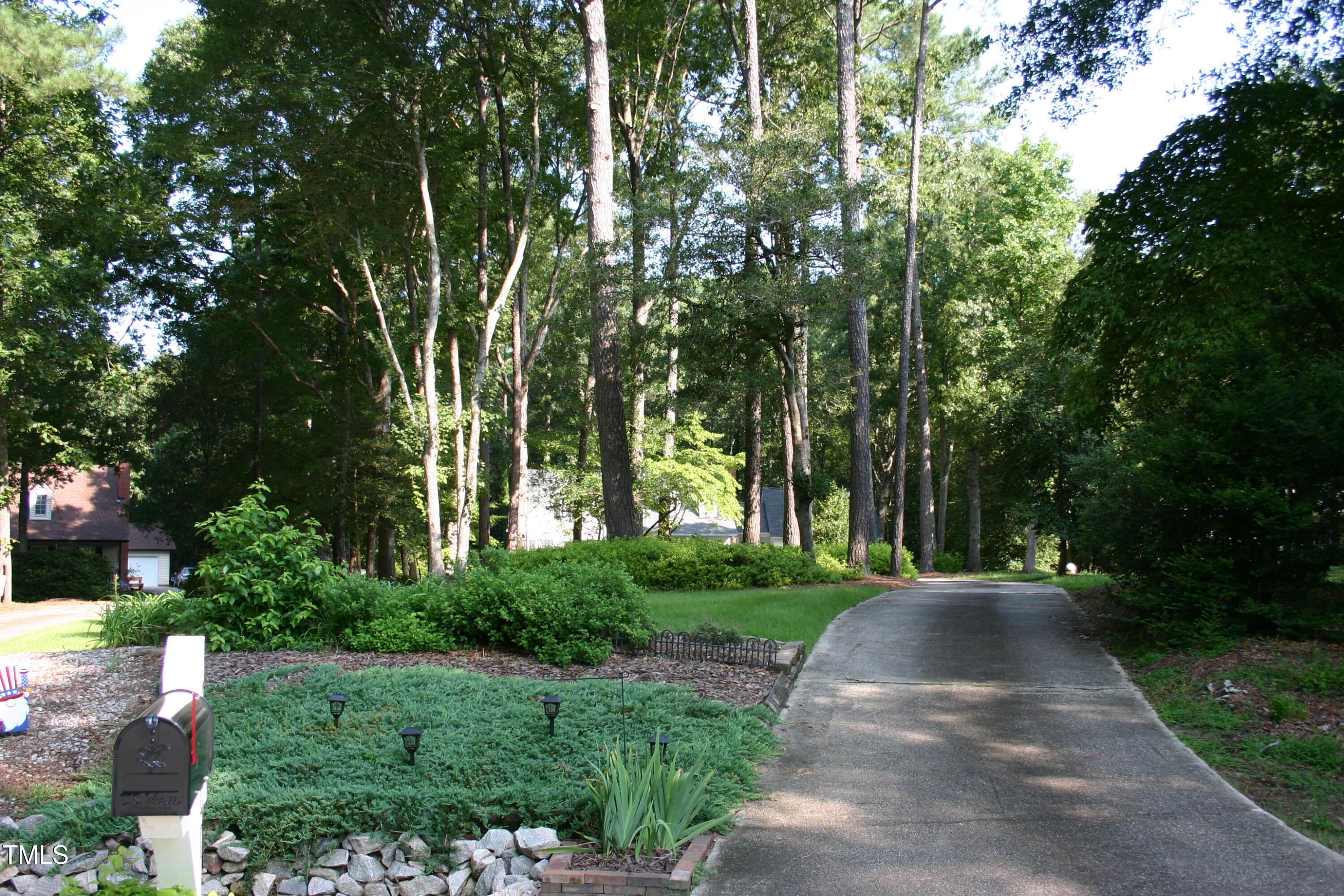 Photo #5