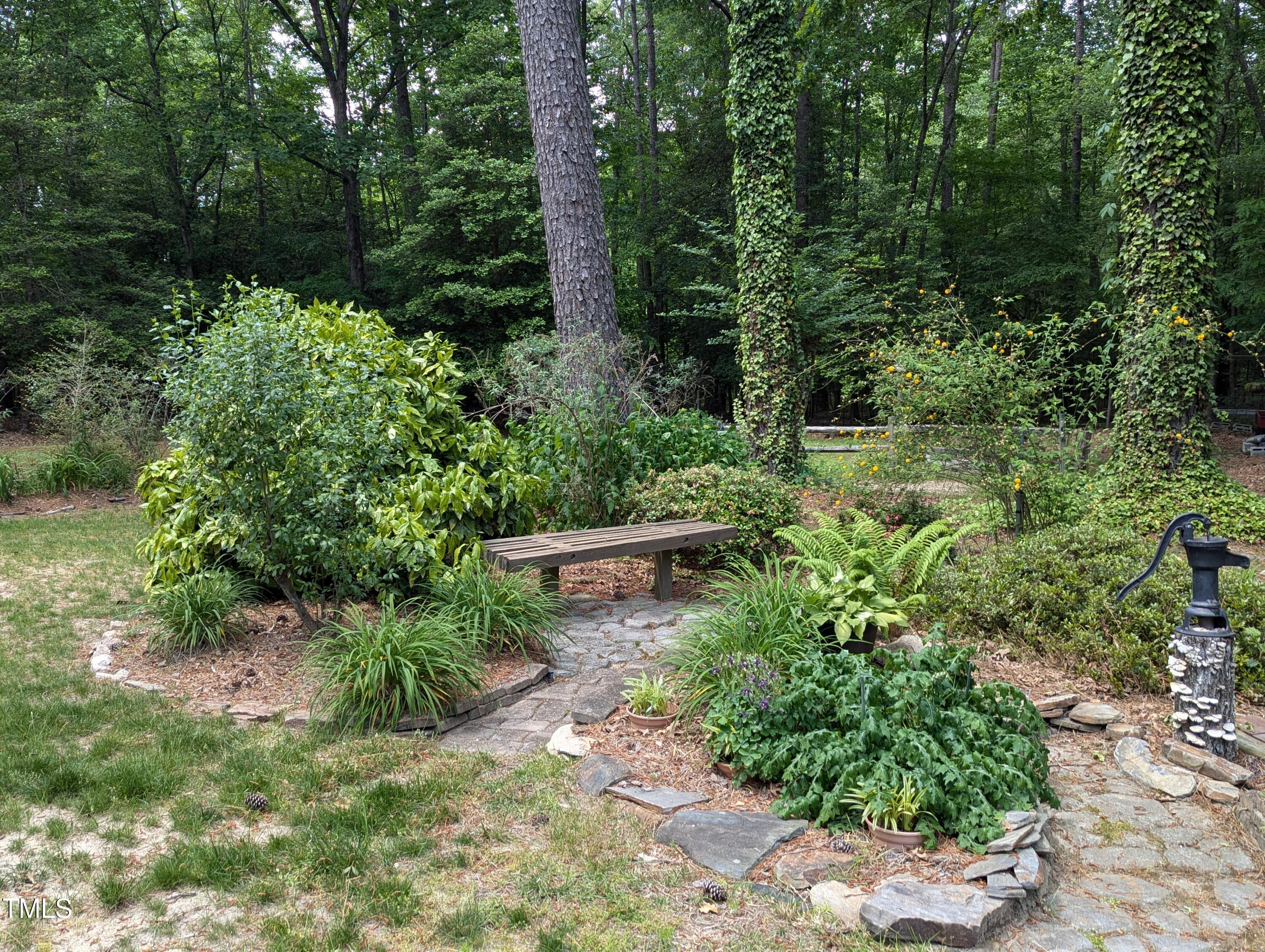Photo #38