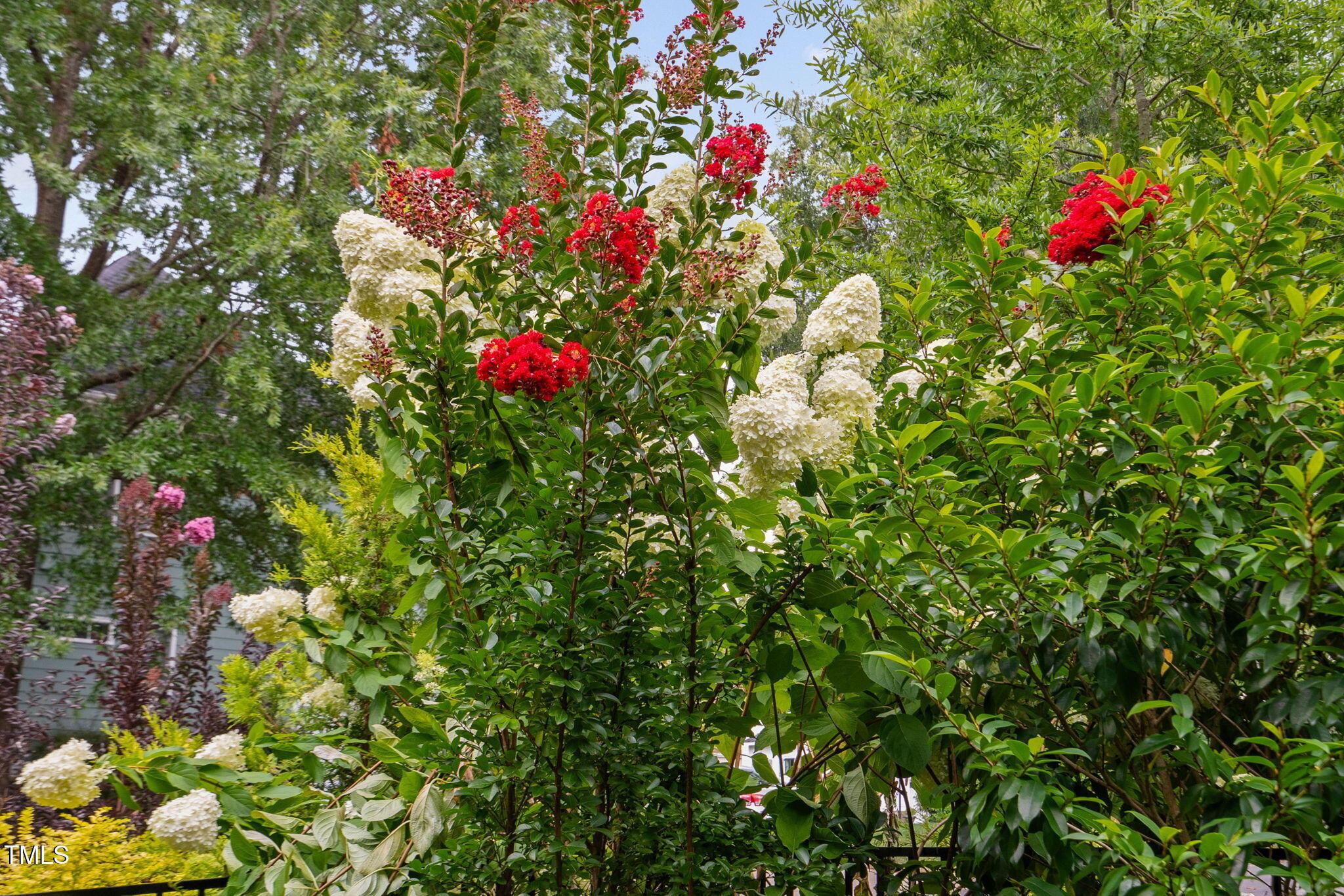 Photo #32