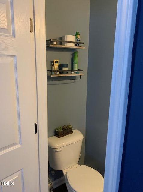 Photo #13