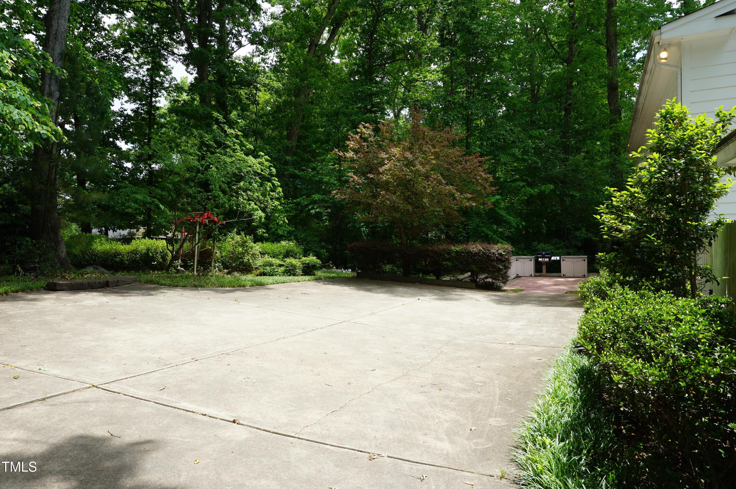 Photo #11
