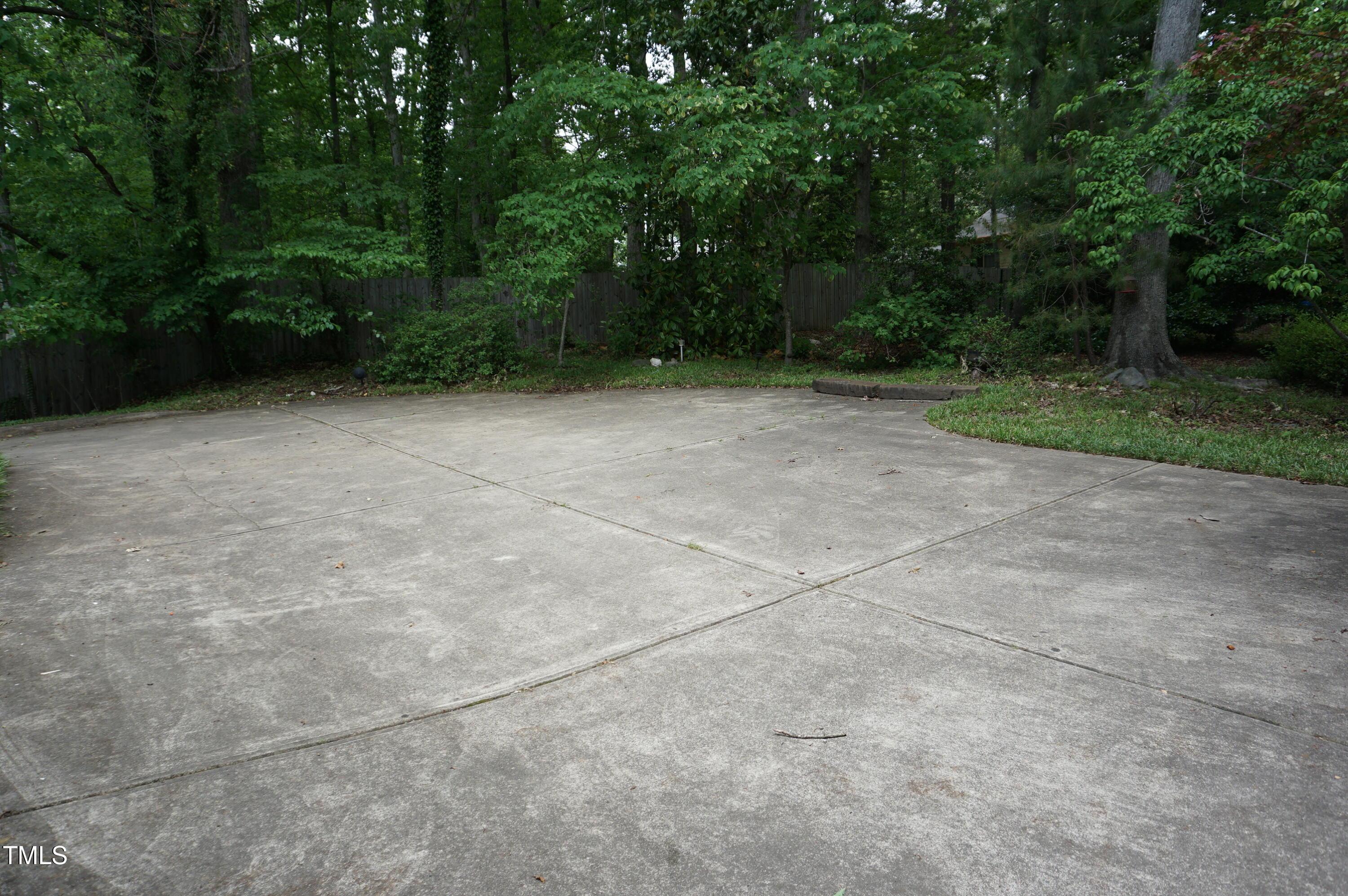 Photo #19