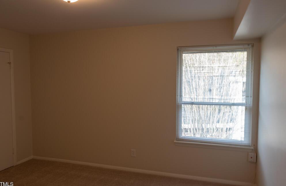 Photo #10