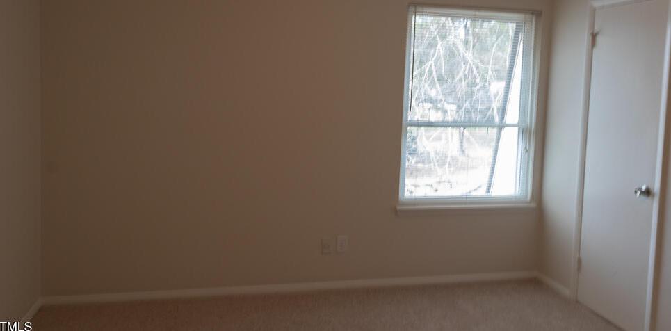Photo #7