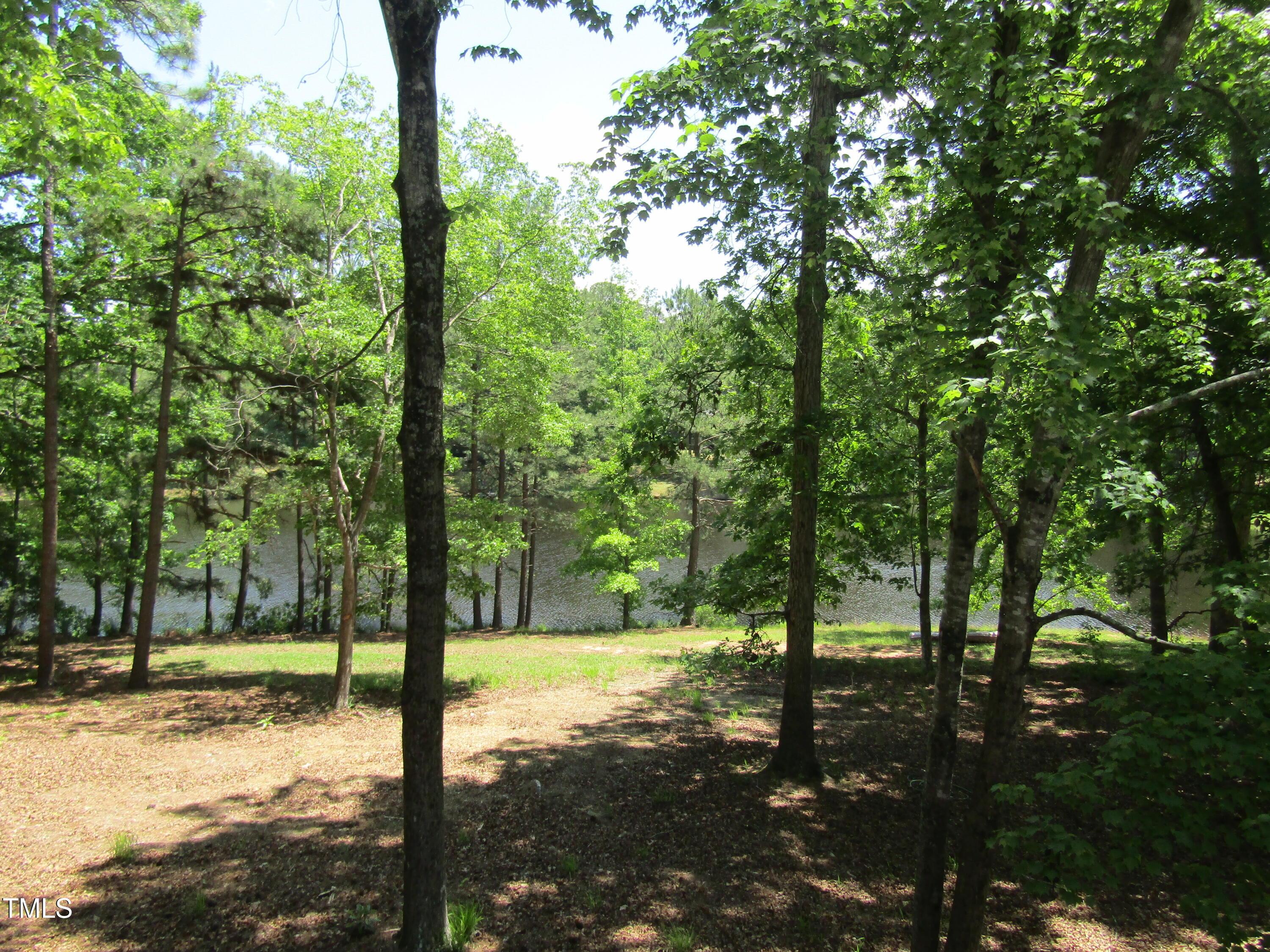 Photo #3
