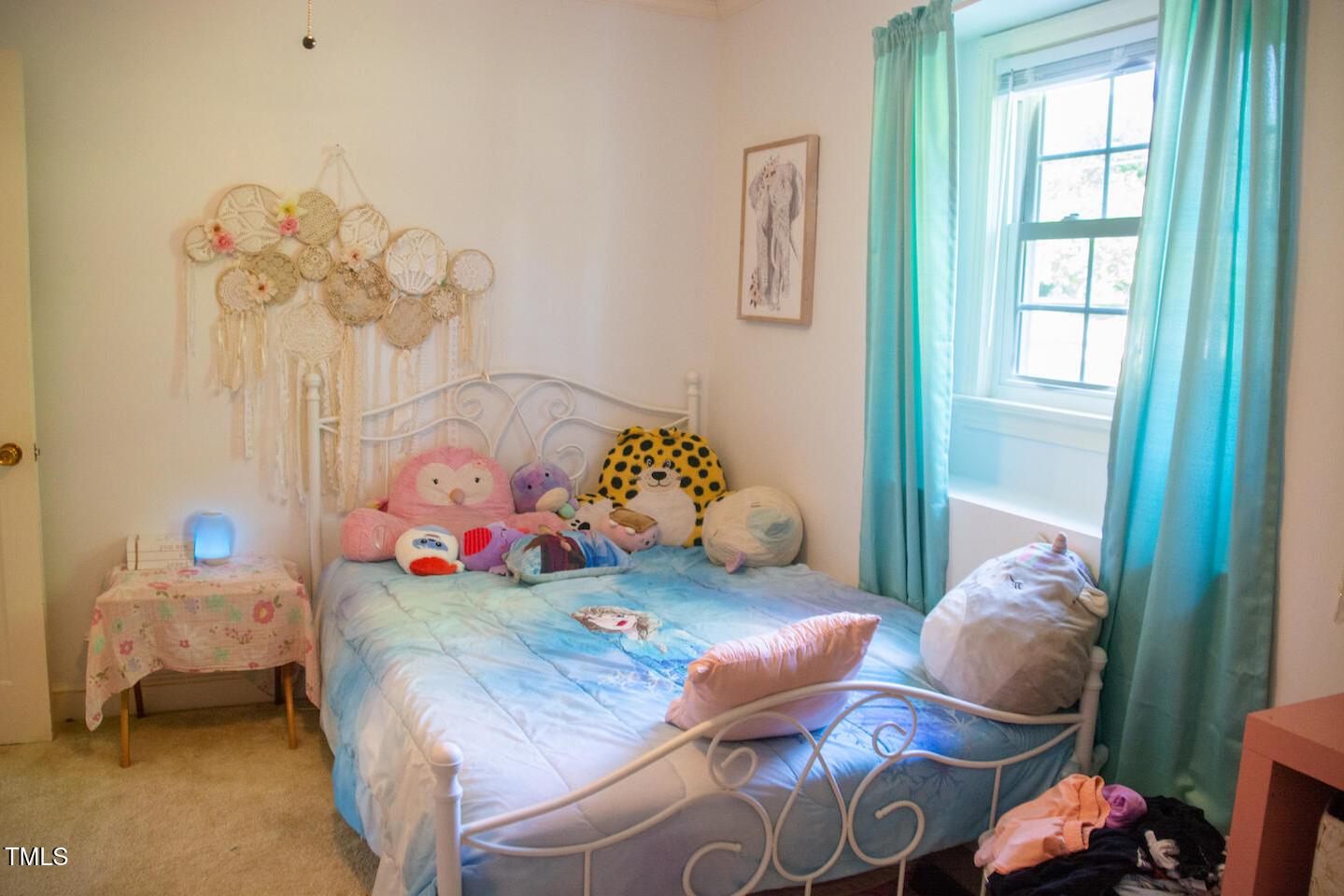 Photo #31