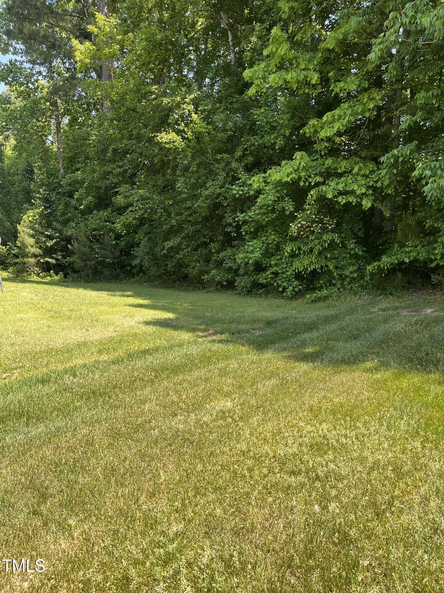 Photo #28