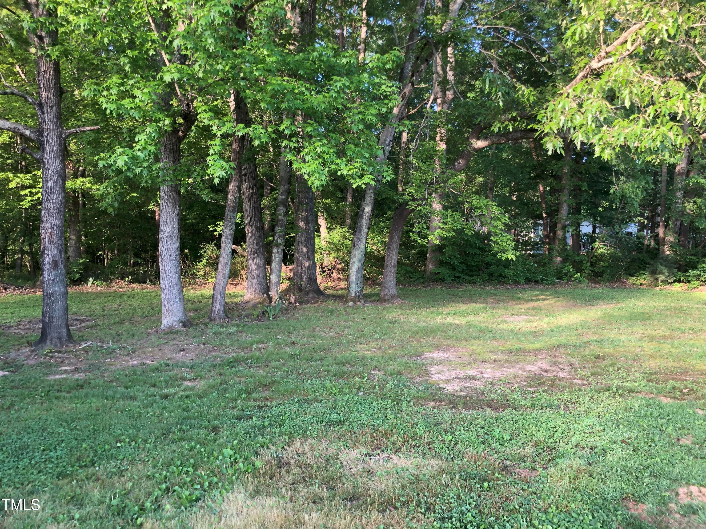 Photo #33