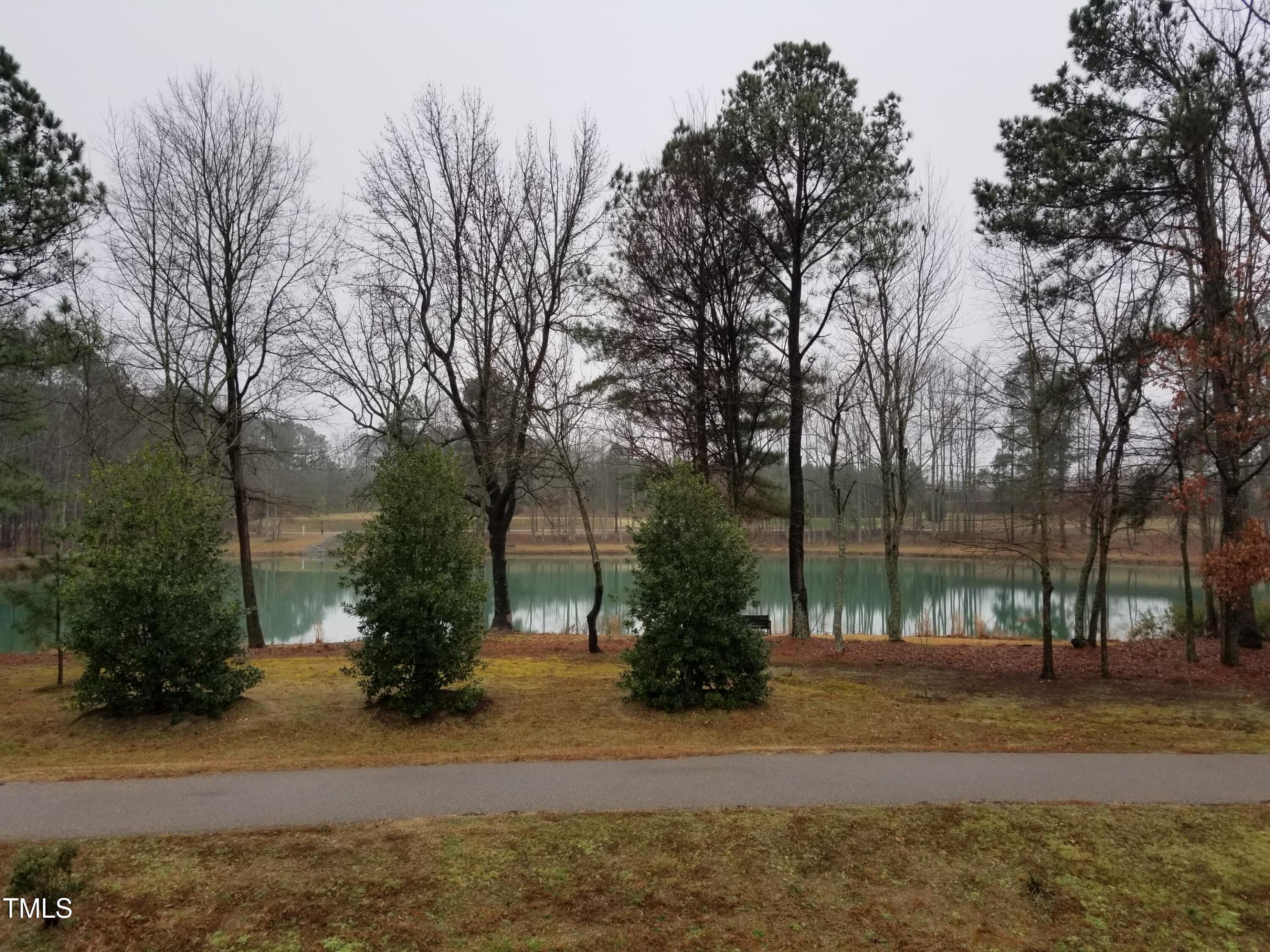 Photo #37