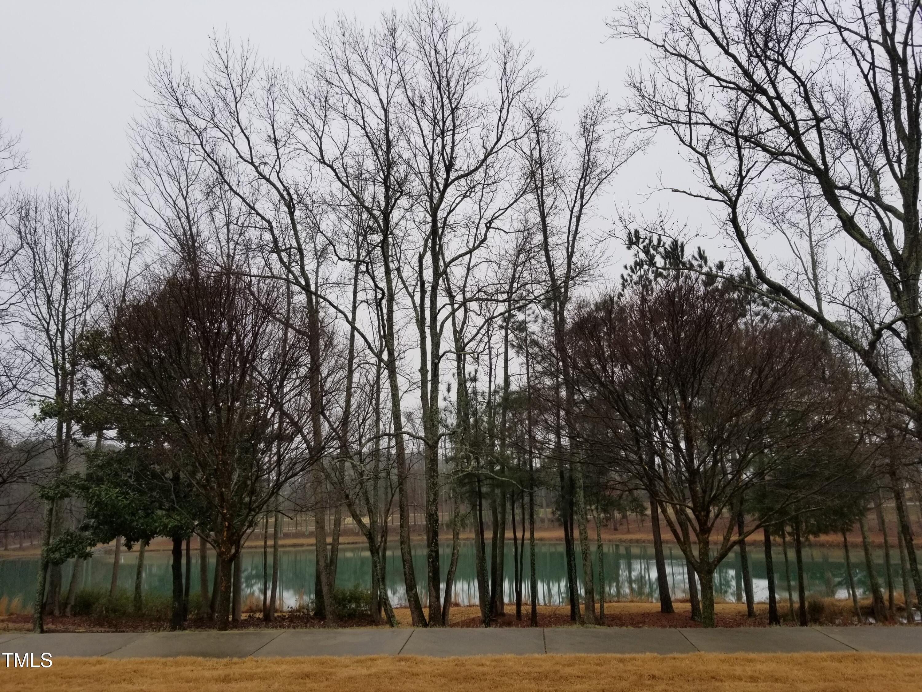 Photo #38