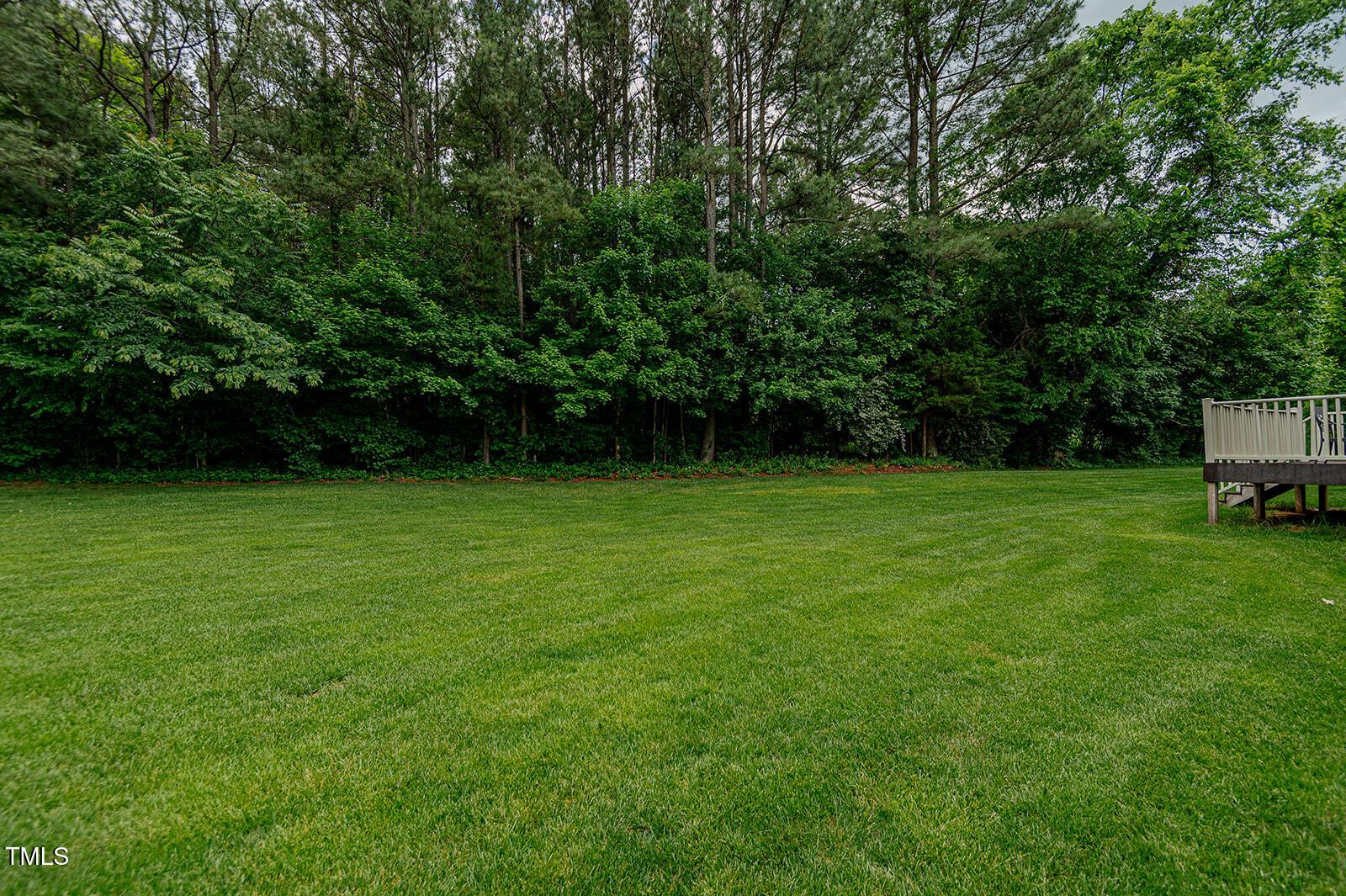 Photo #45