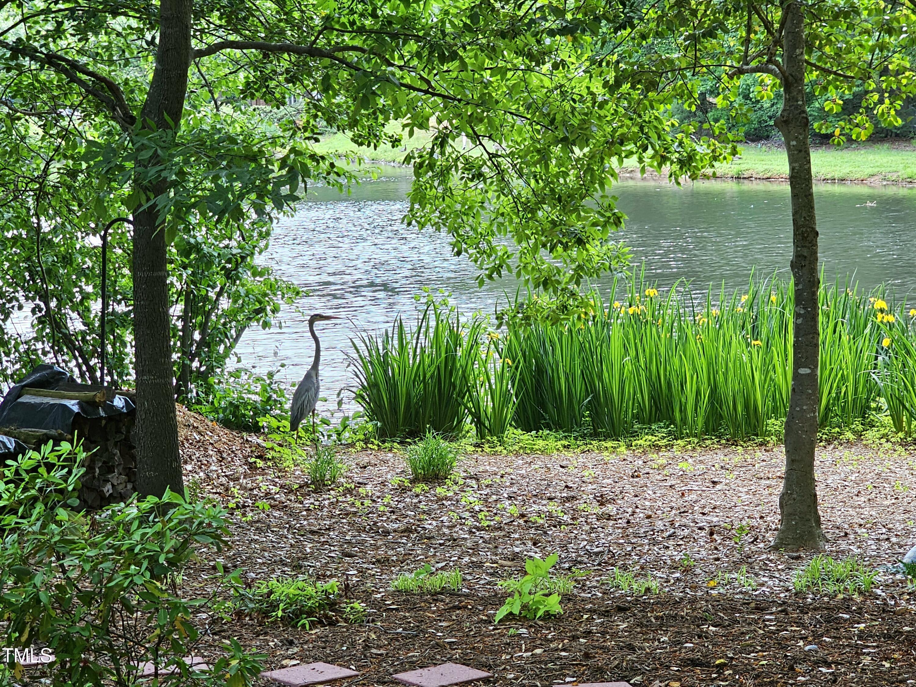 Photo #26