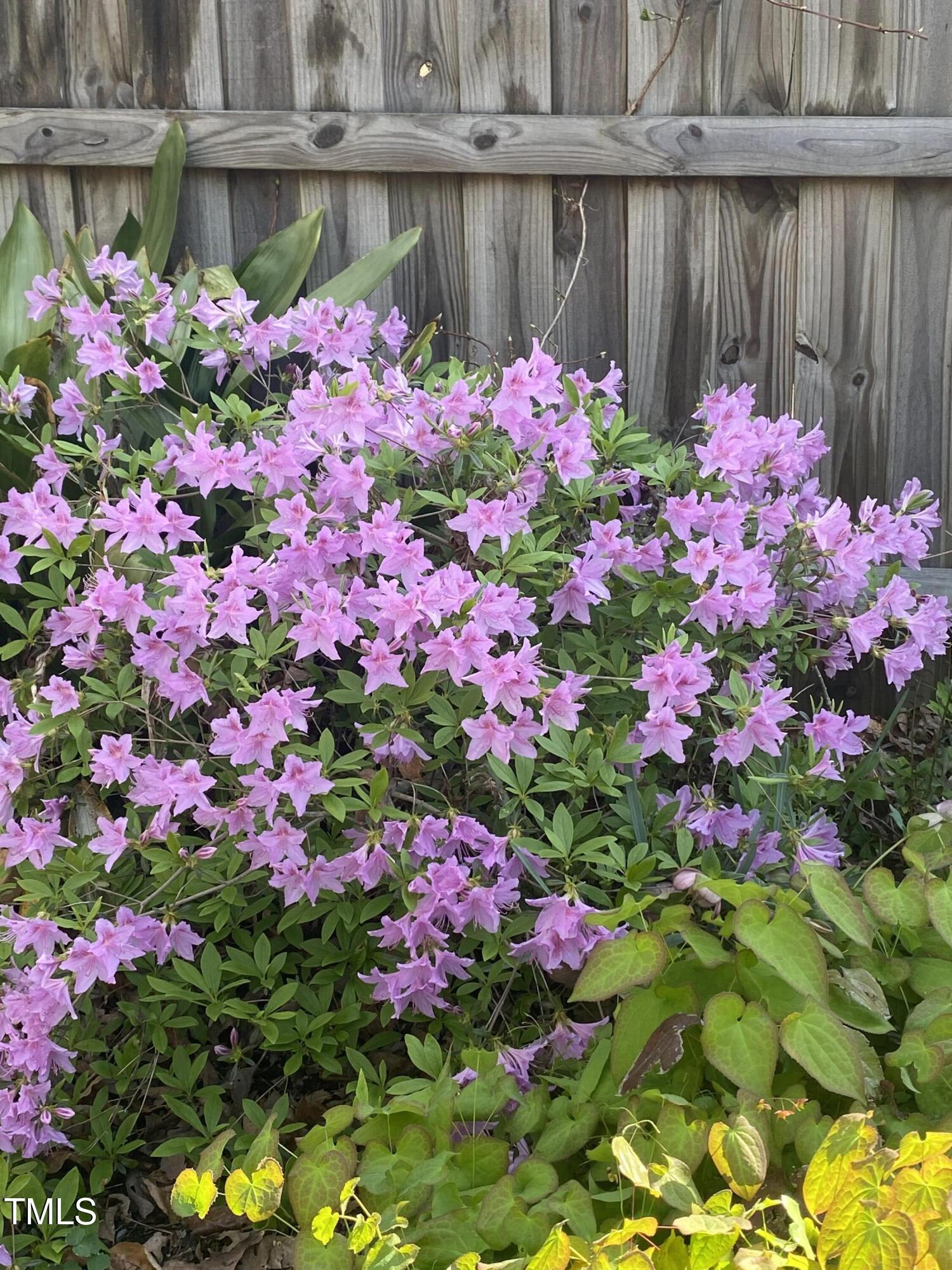 Photo #38