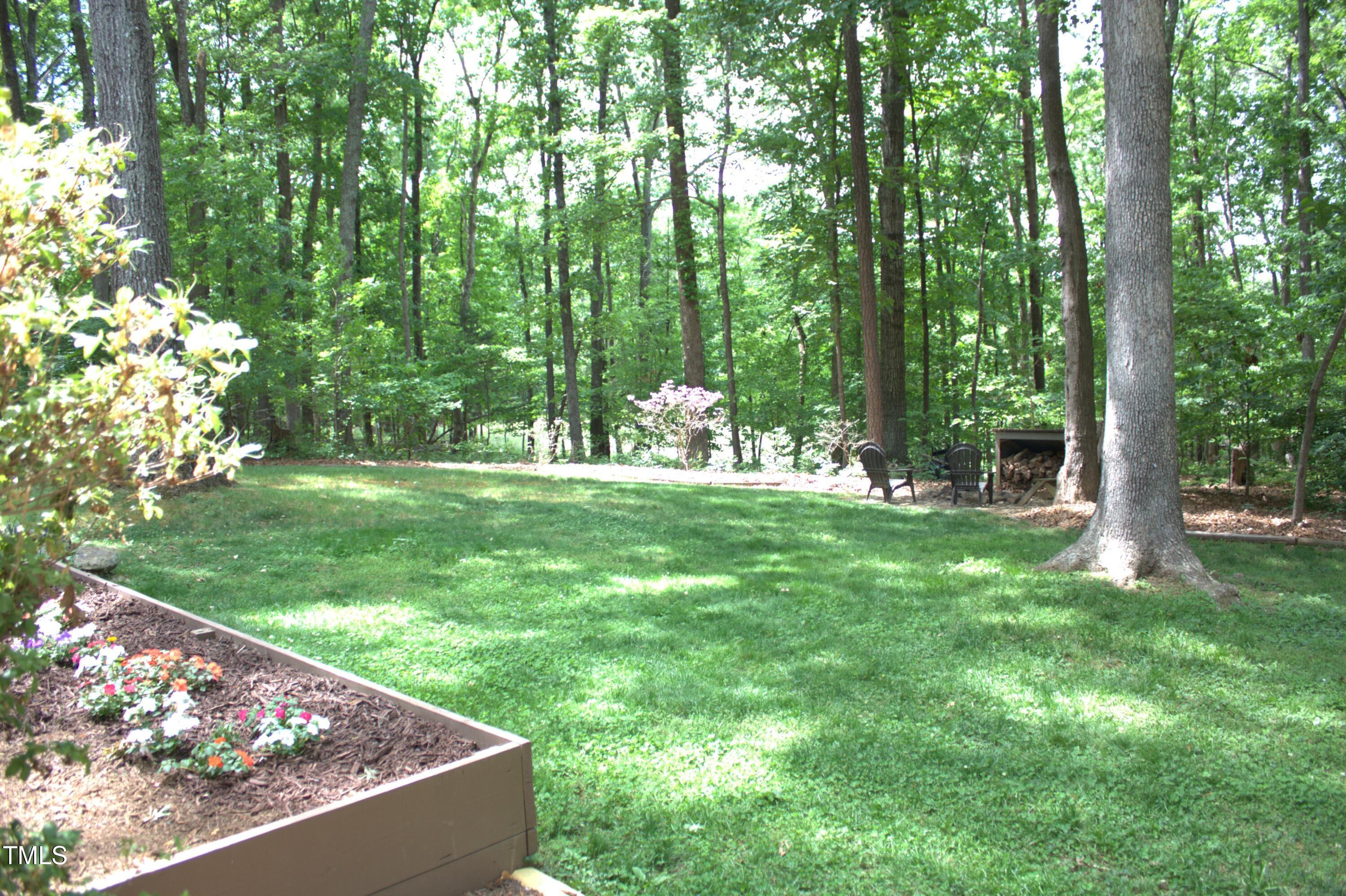 Photo #32