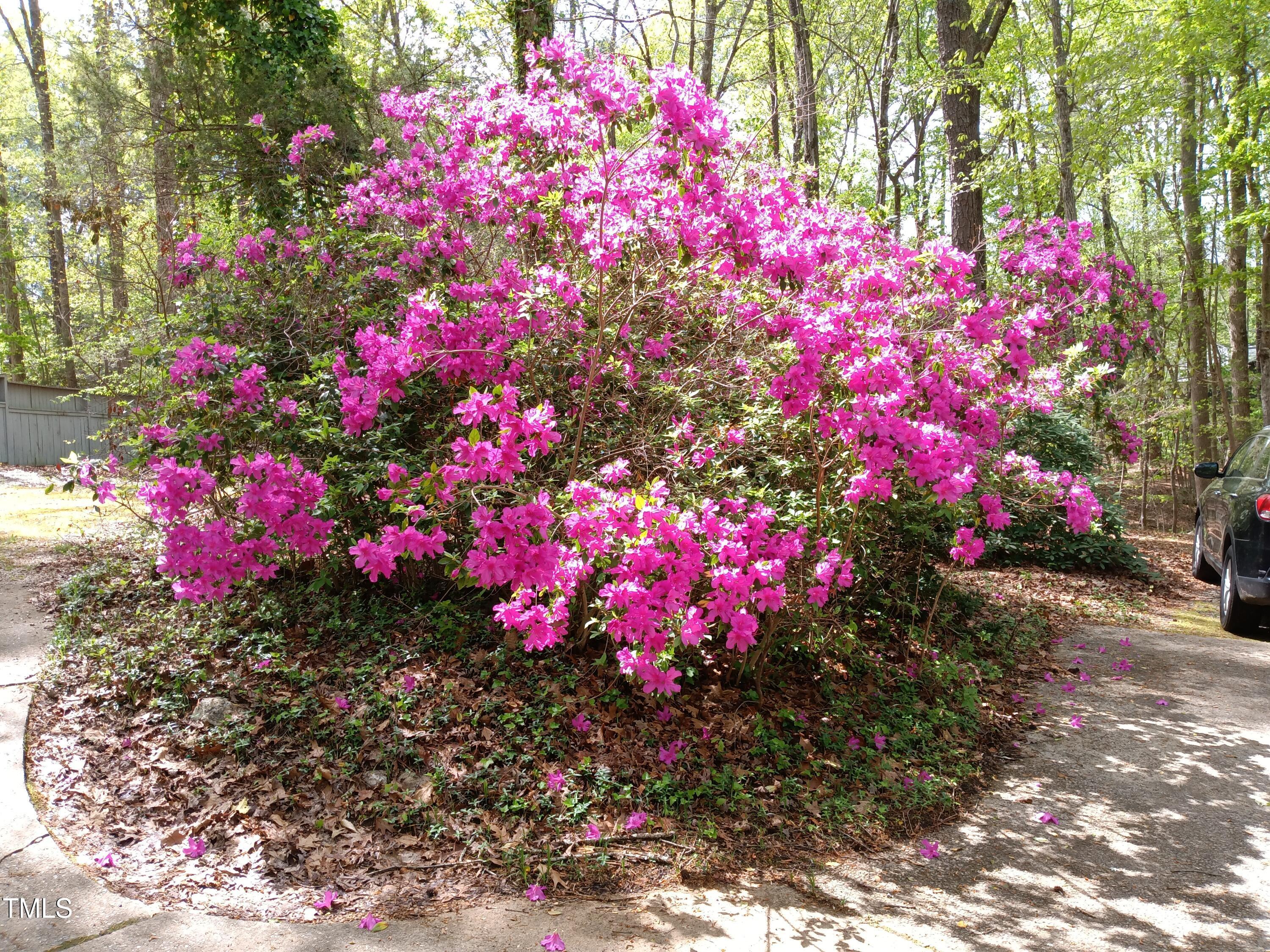 Photo #48
