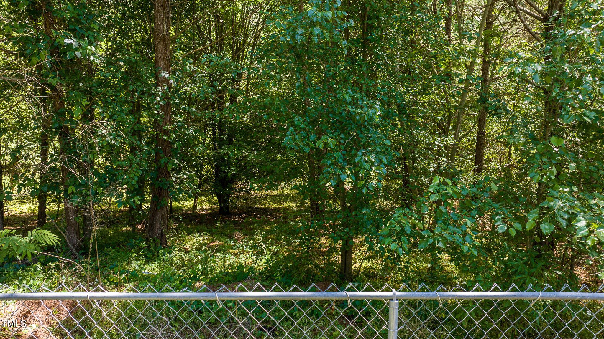 Photo #50