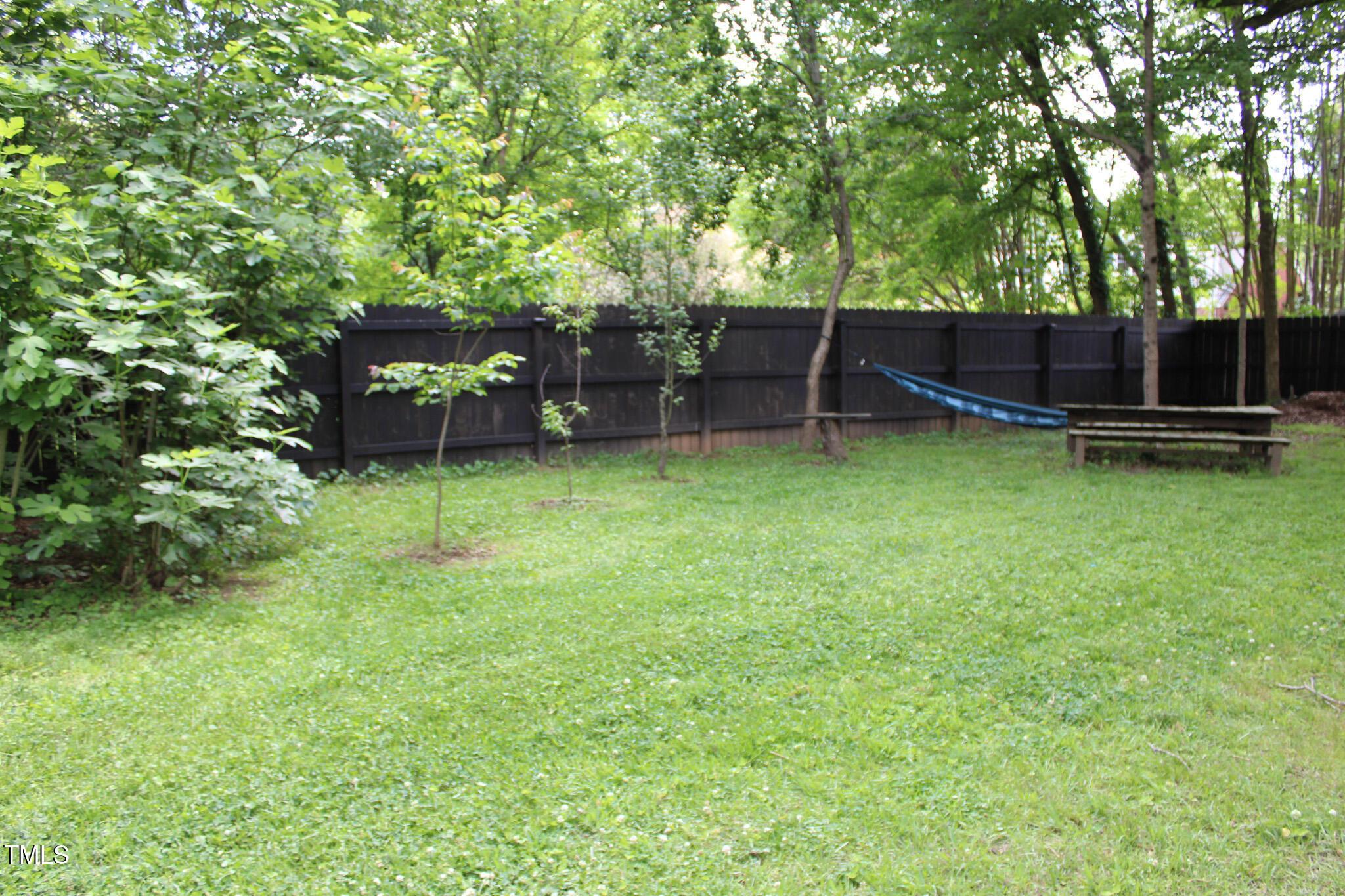 Photo #14