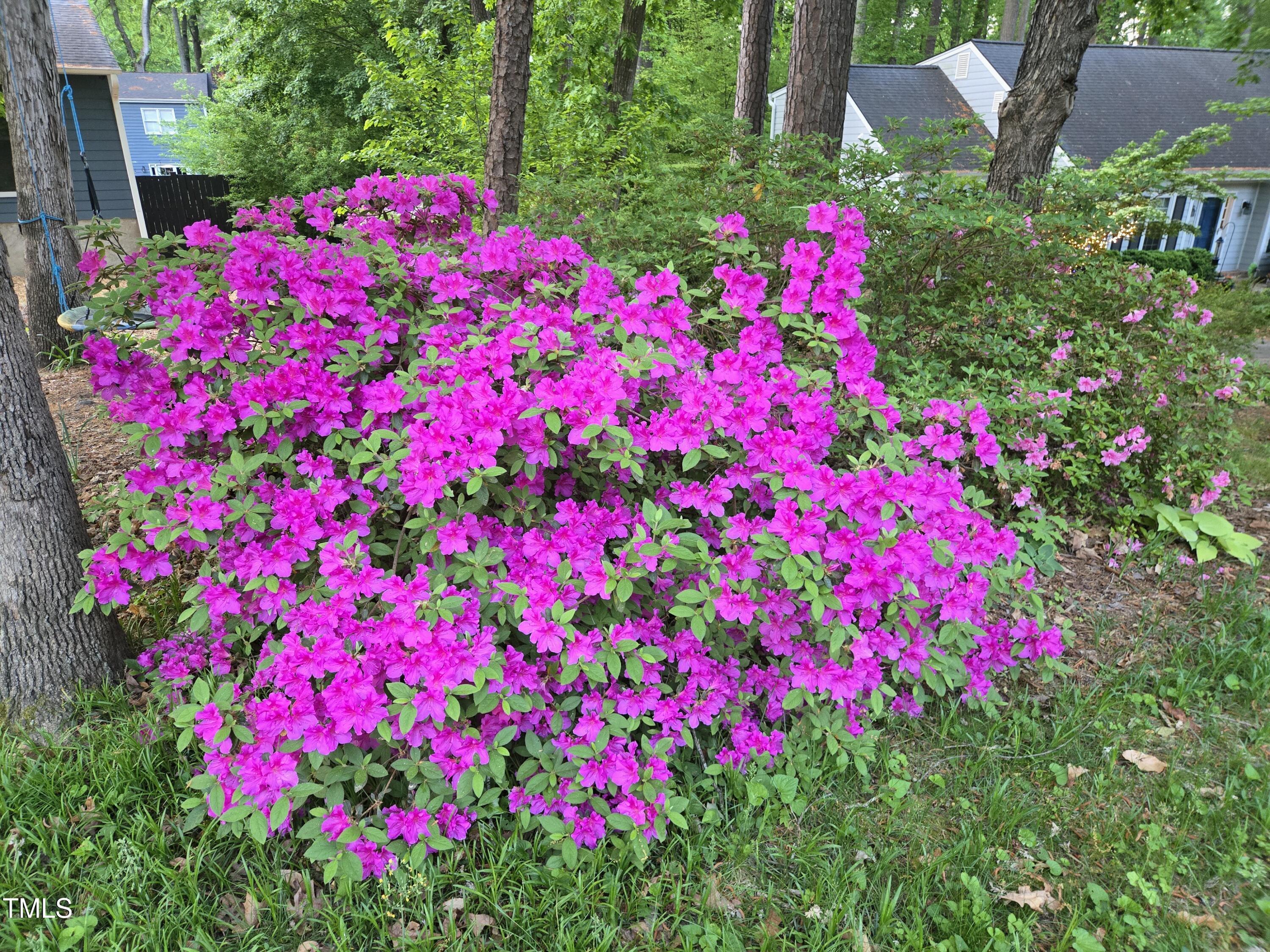 Photo #55