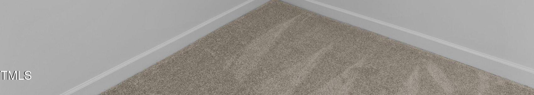Photo #19