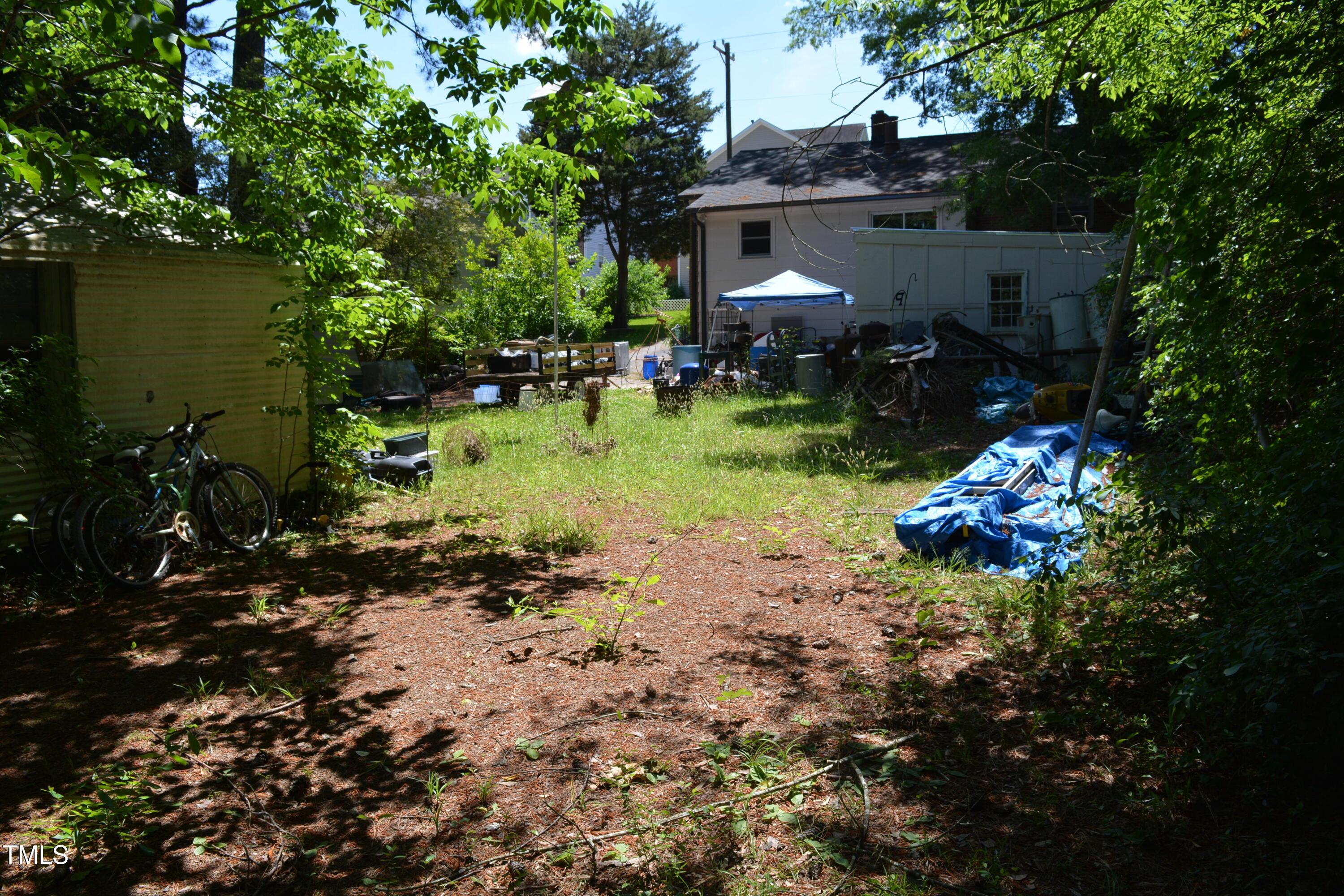 Photo #7
