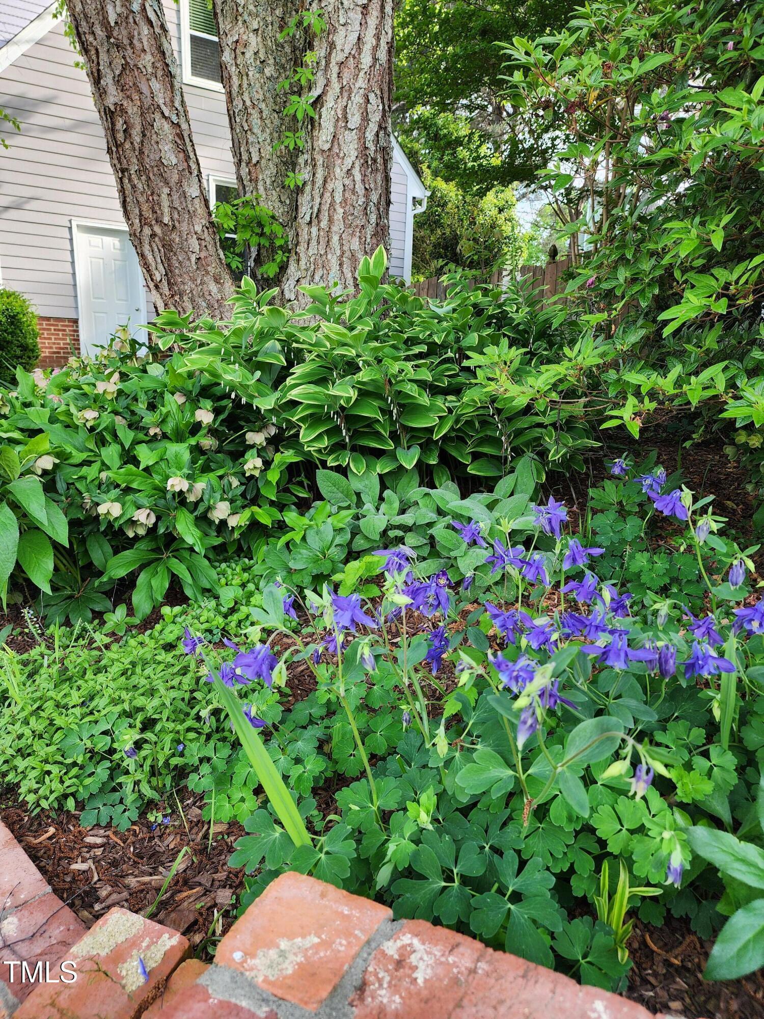 Photo #37