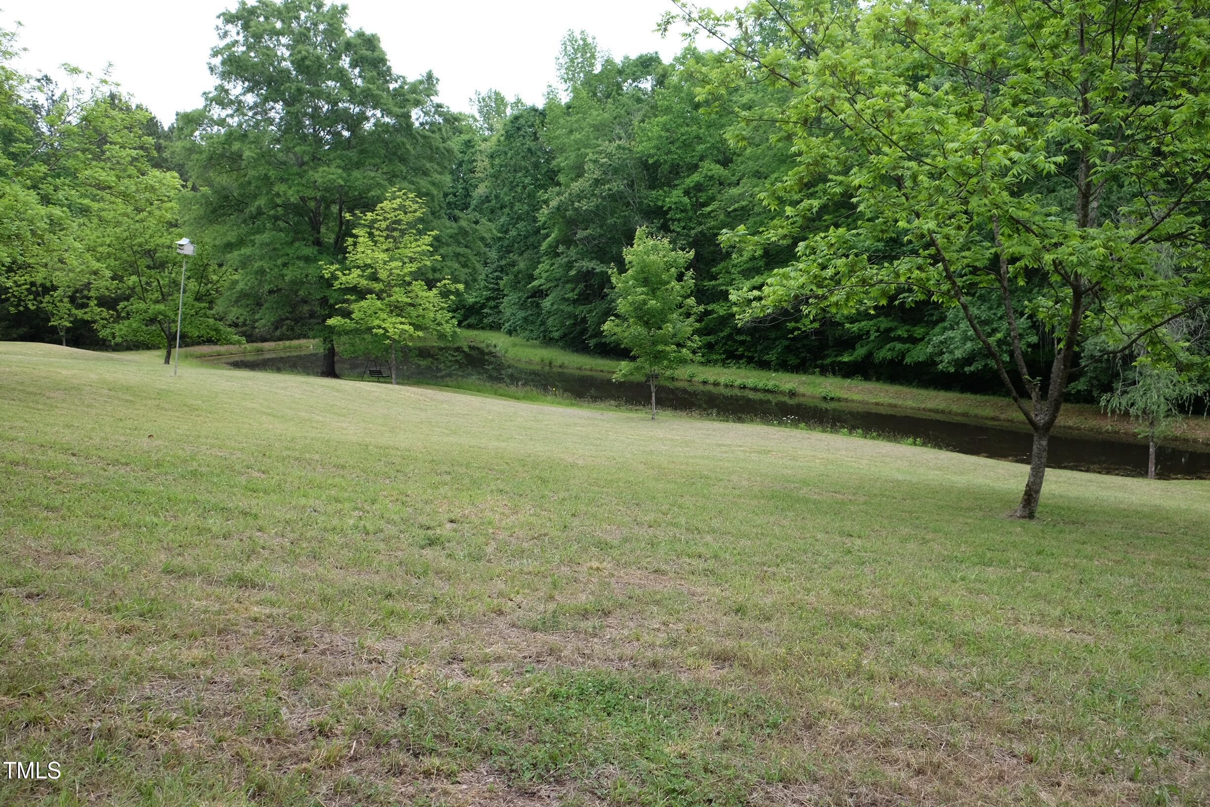 Photo #39